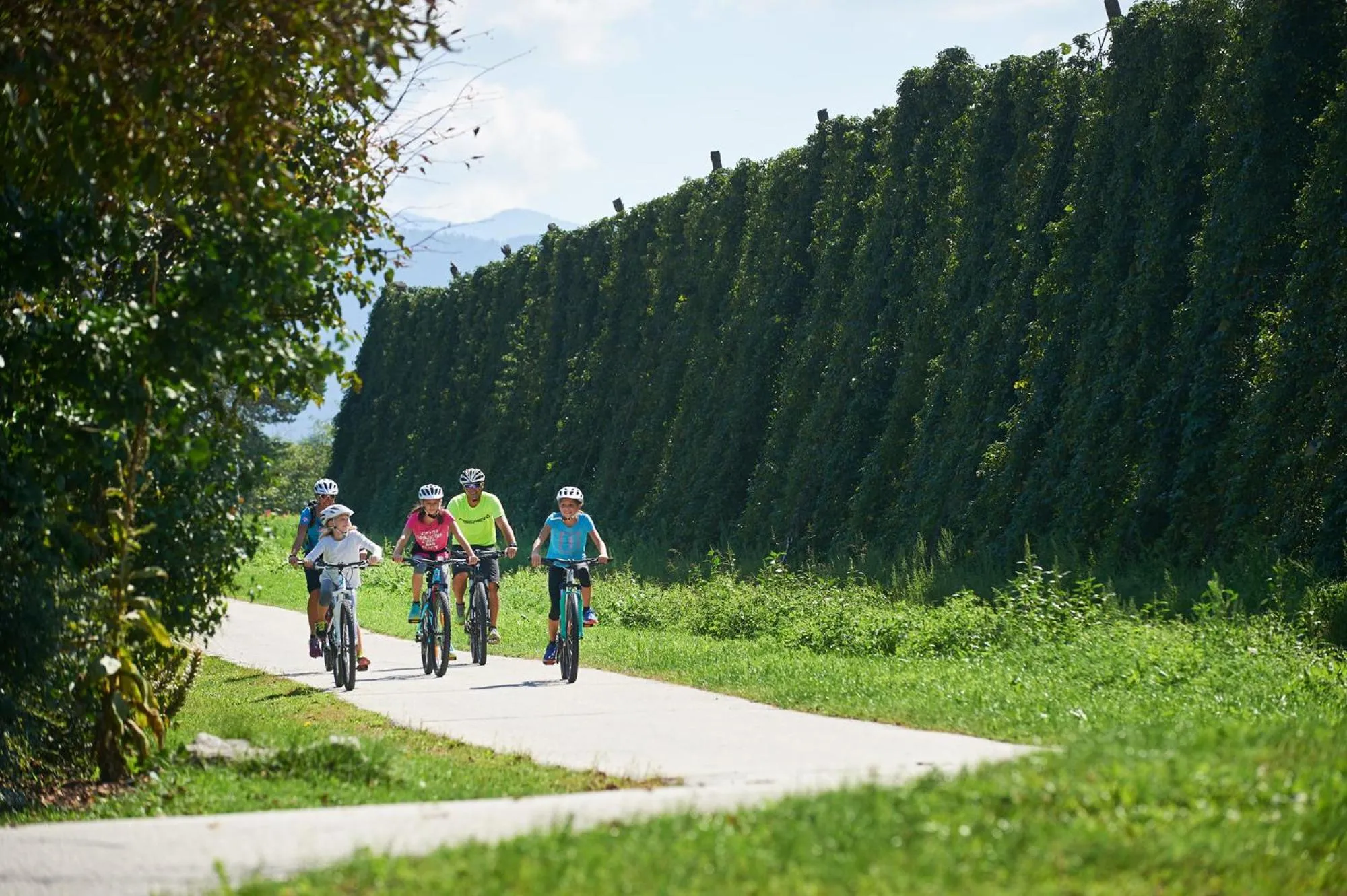 Cycling in Hotel Korosica