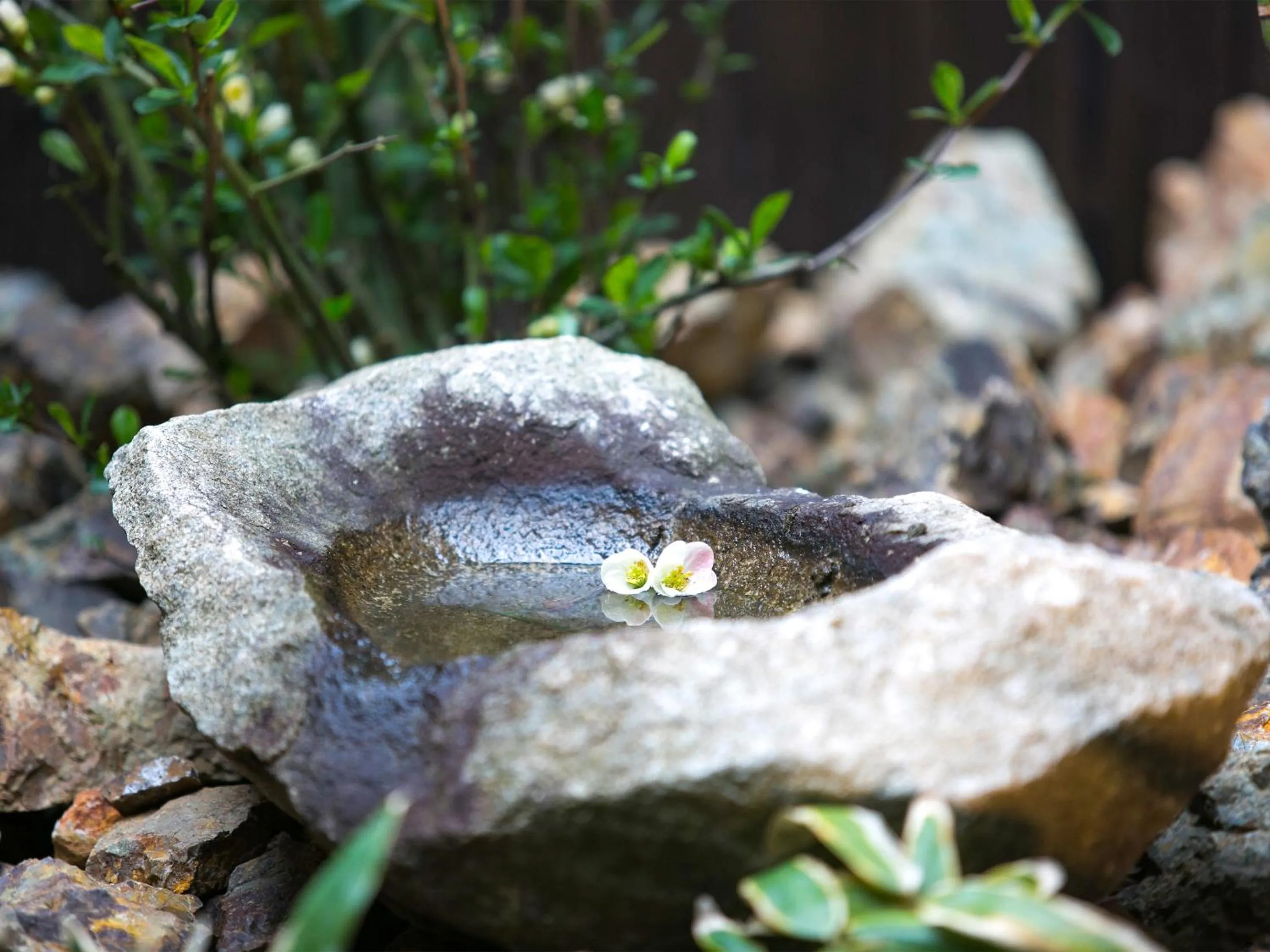 Garden in Nijo Yurakuan