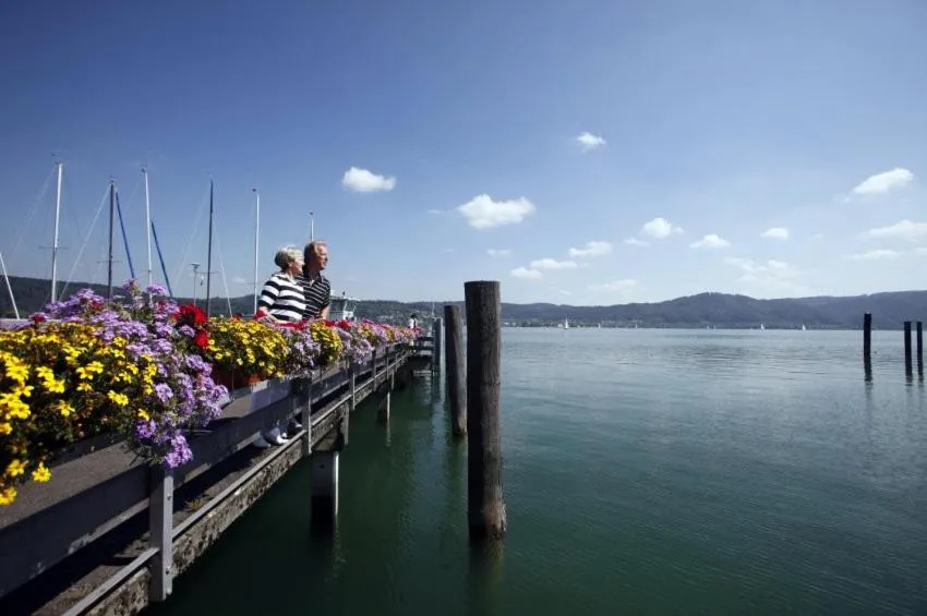 Natural landscape in Hotel Mozart