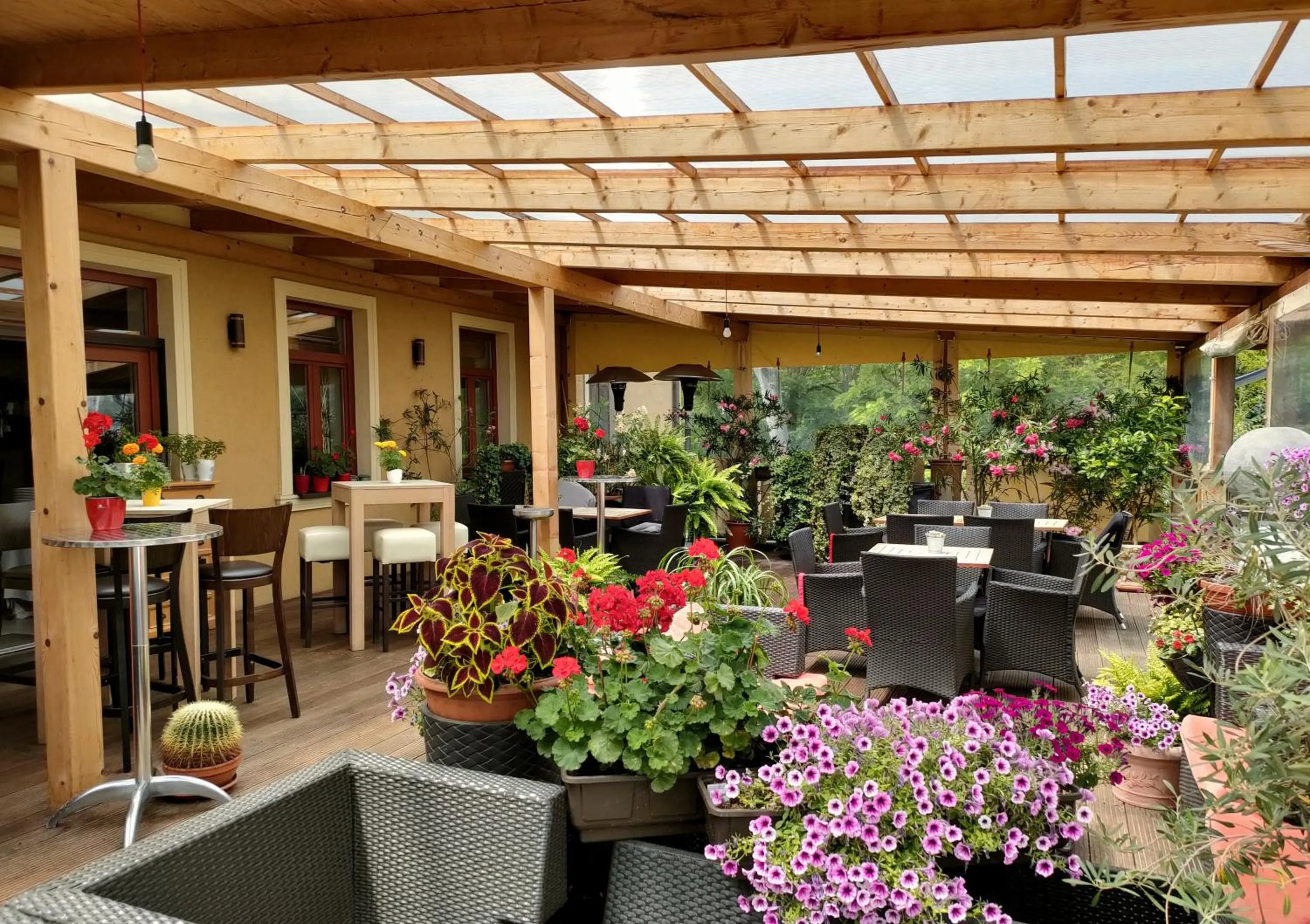 Property building in Hotel Peklo