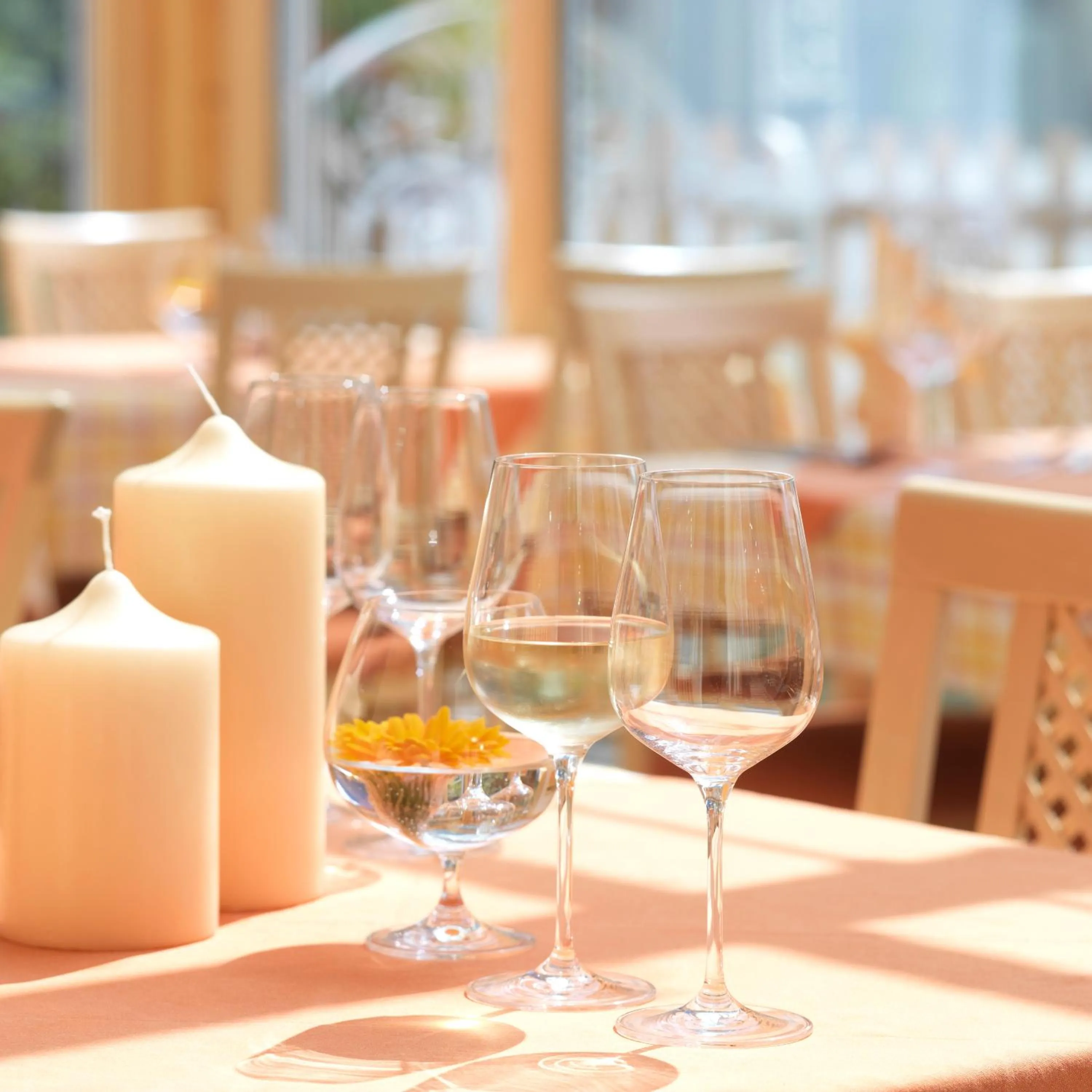 Restaurant/places to eat in Hotel Augarten