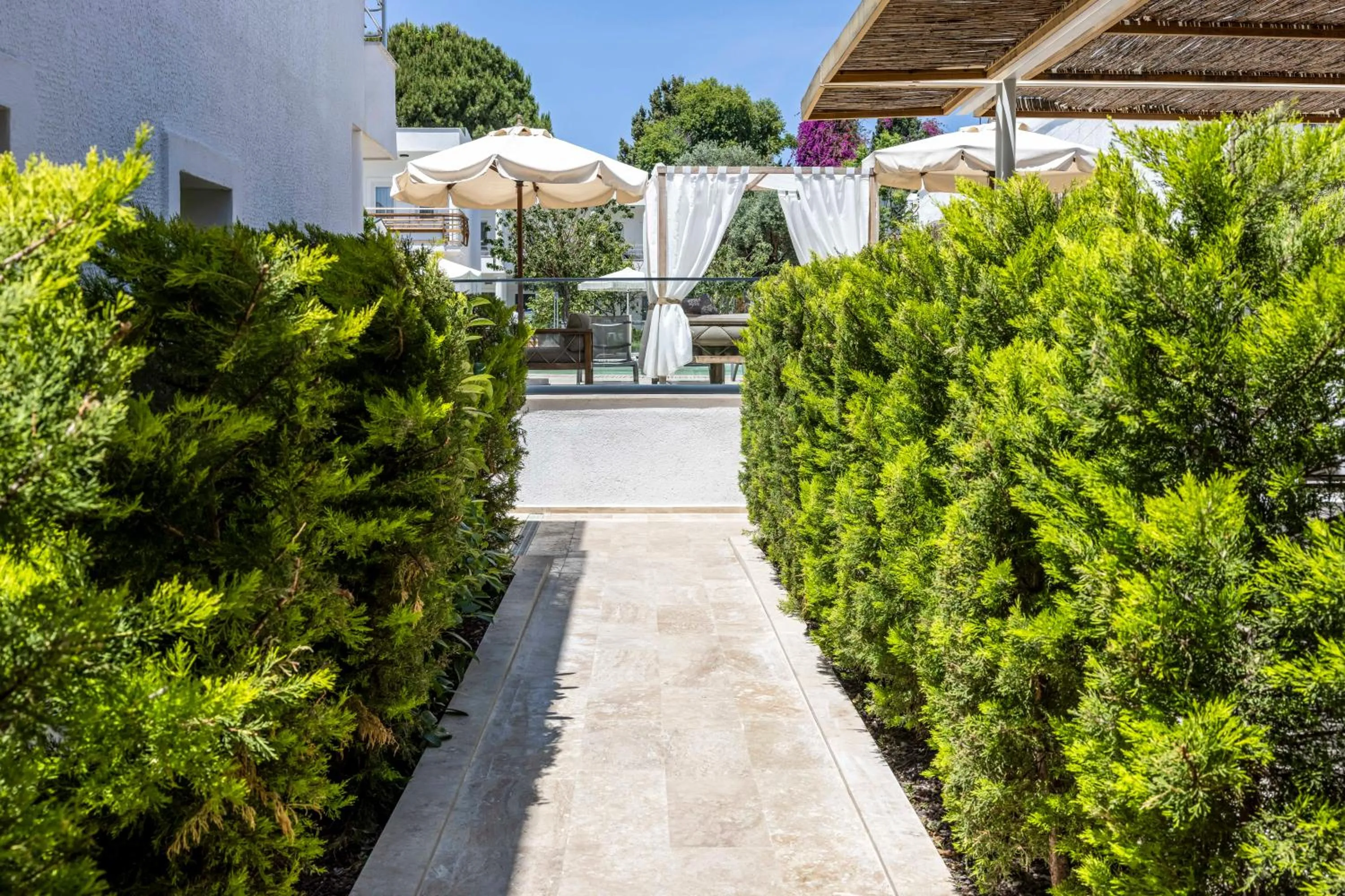 Spring in Costa Maya Bodrum