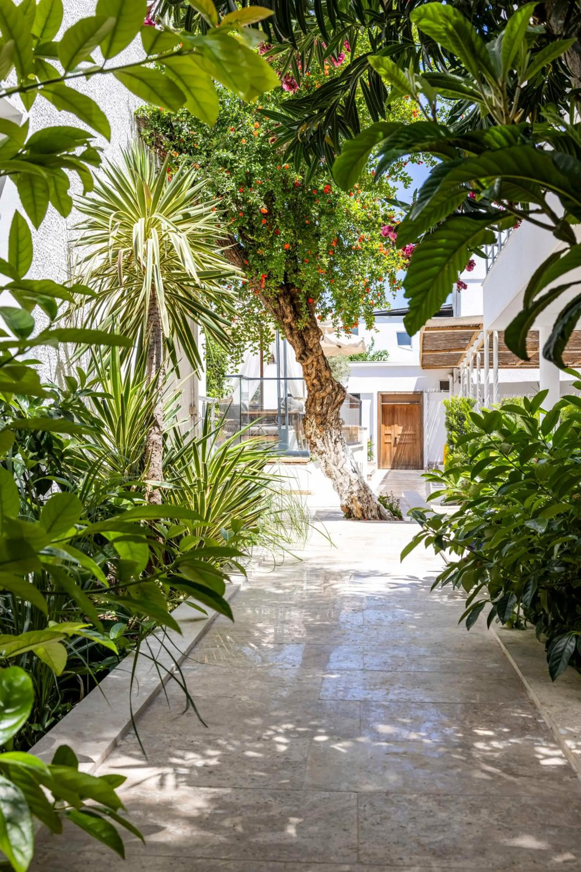 Hiking in Costa Maya Bodrum