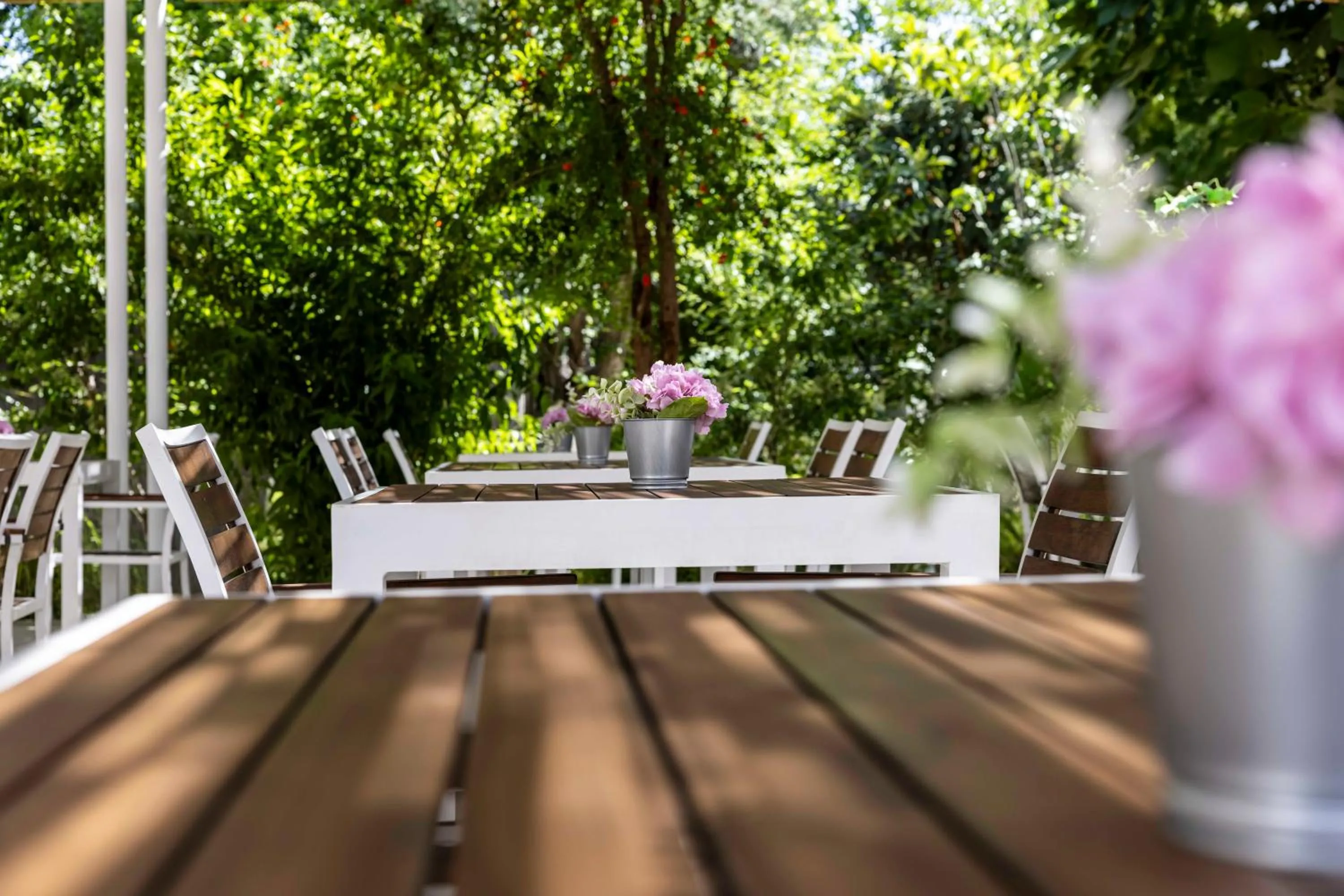 Day in Costa Maya Bodrum