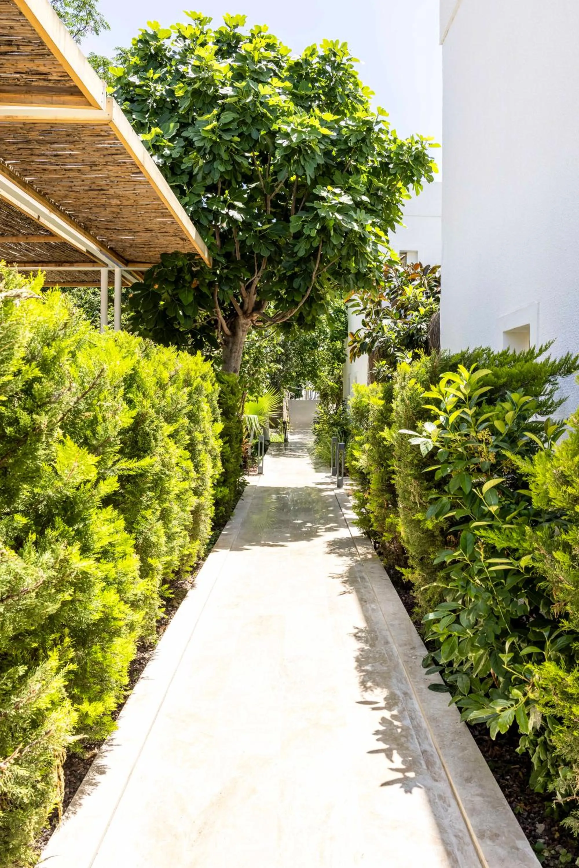 Garden in Costa Maya Bodrum