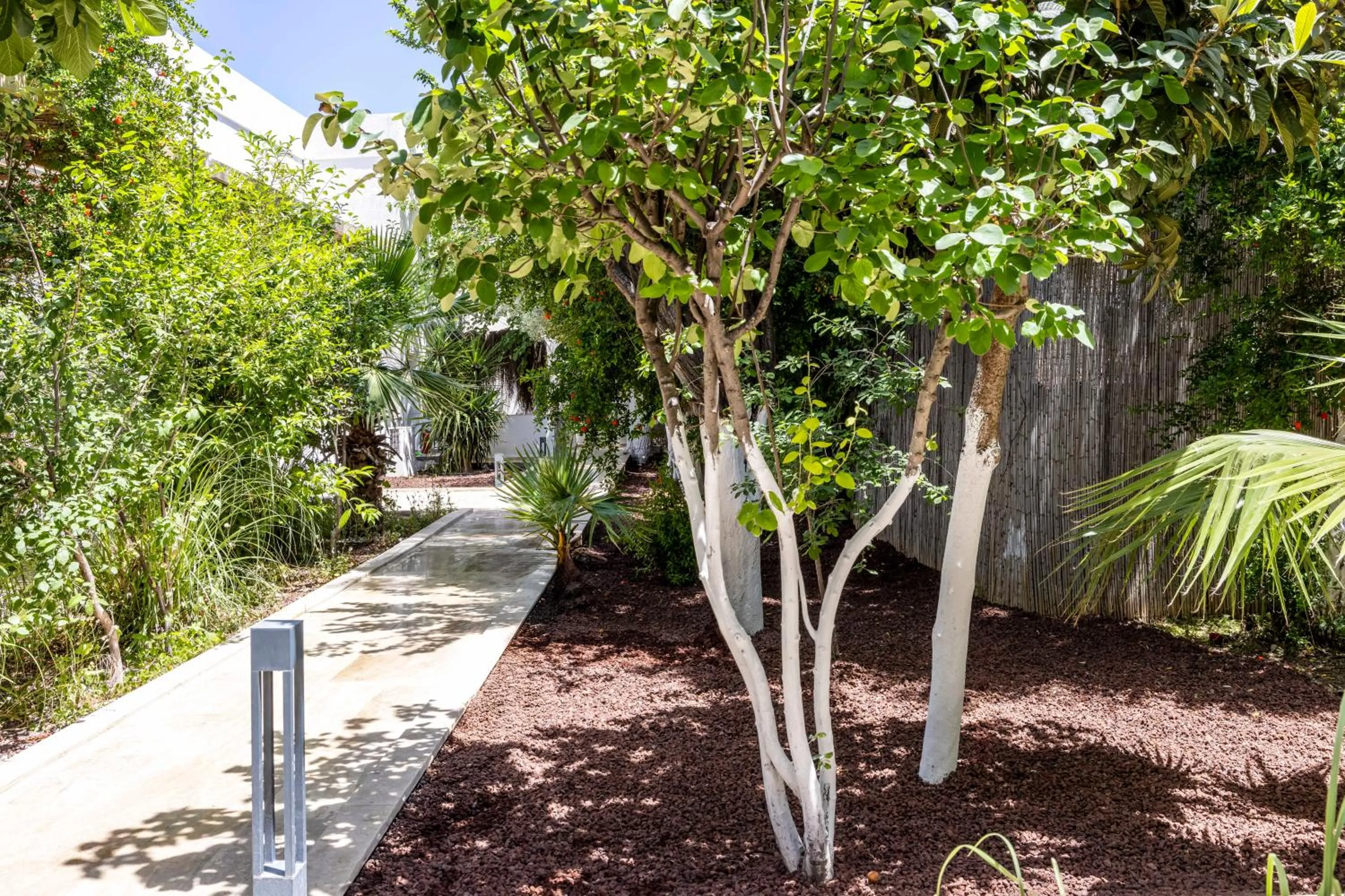 Spring in Costa Maya Bodrum