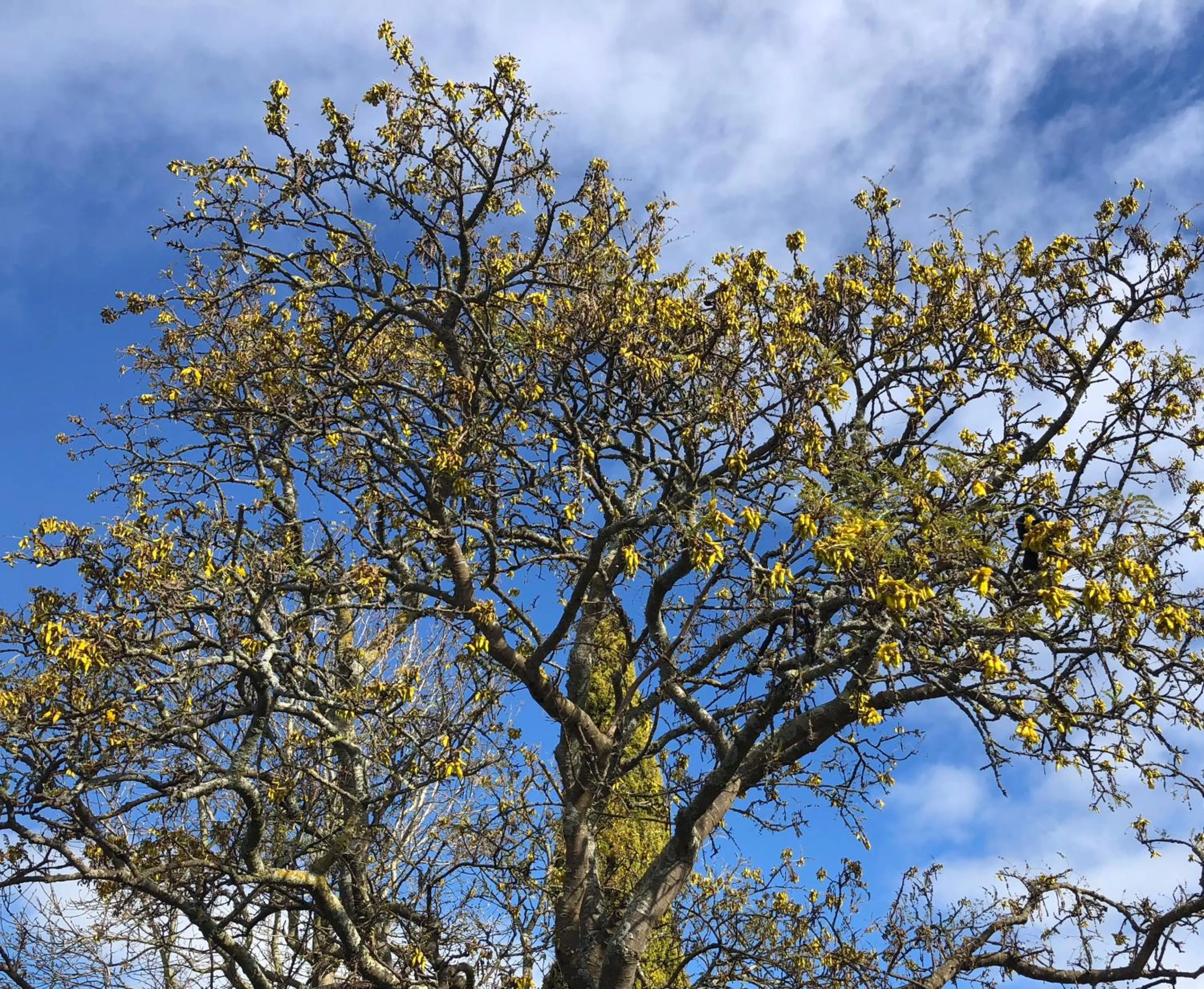 Spring in Refreshstay