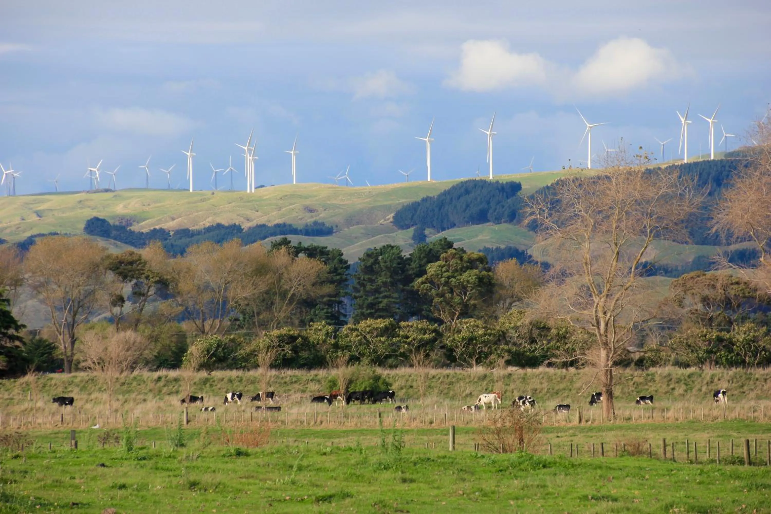 Natural landscape in Refreshstay
