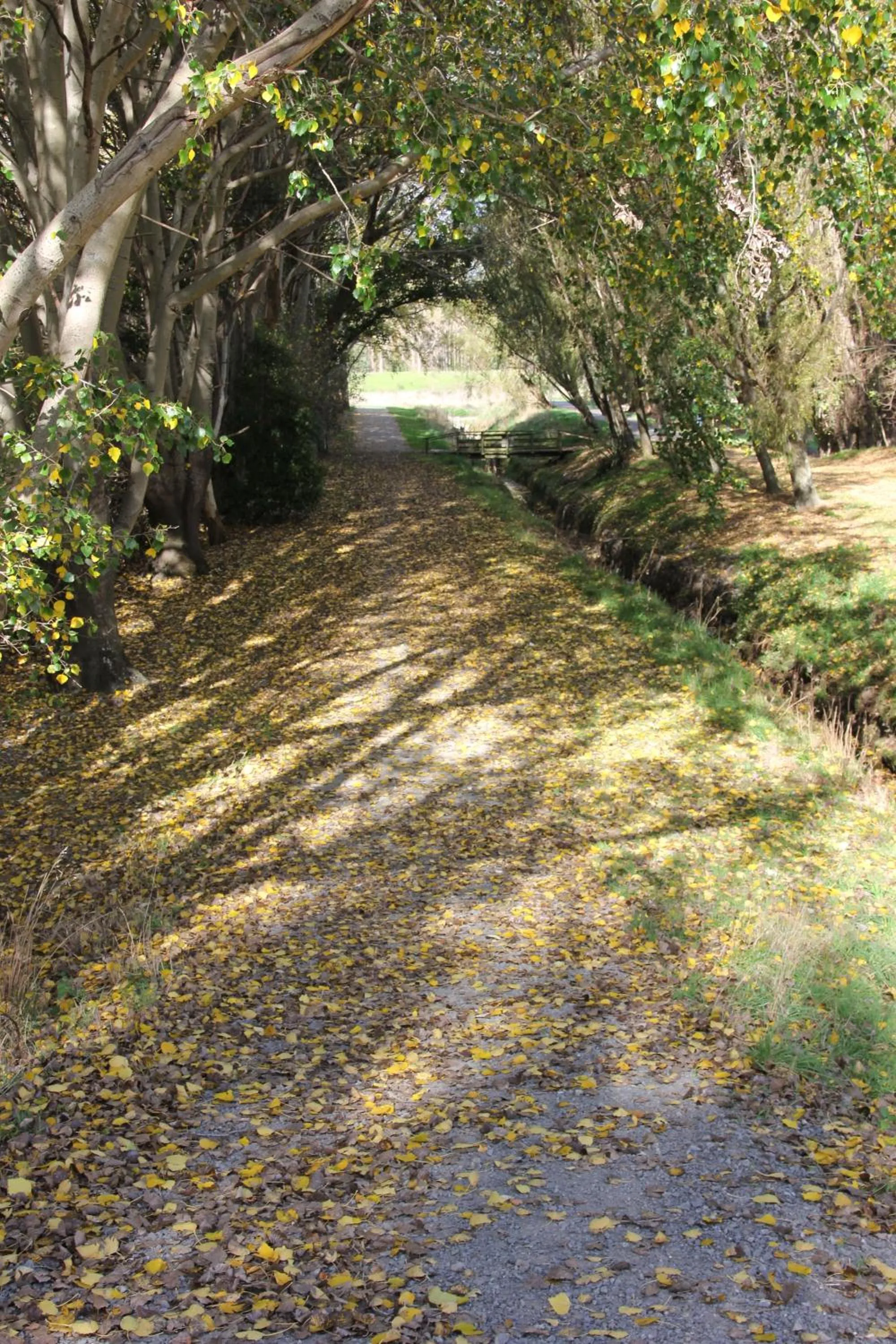 Natural landscape in Refreshstay