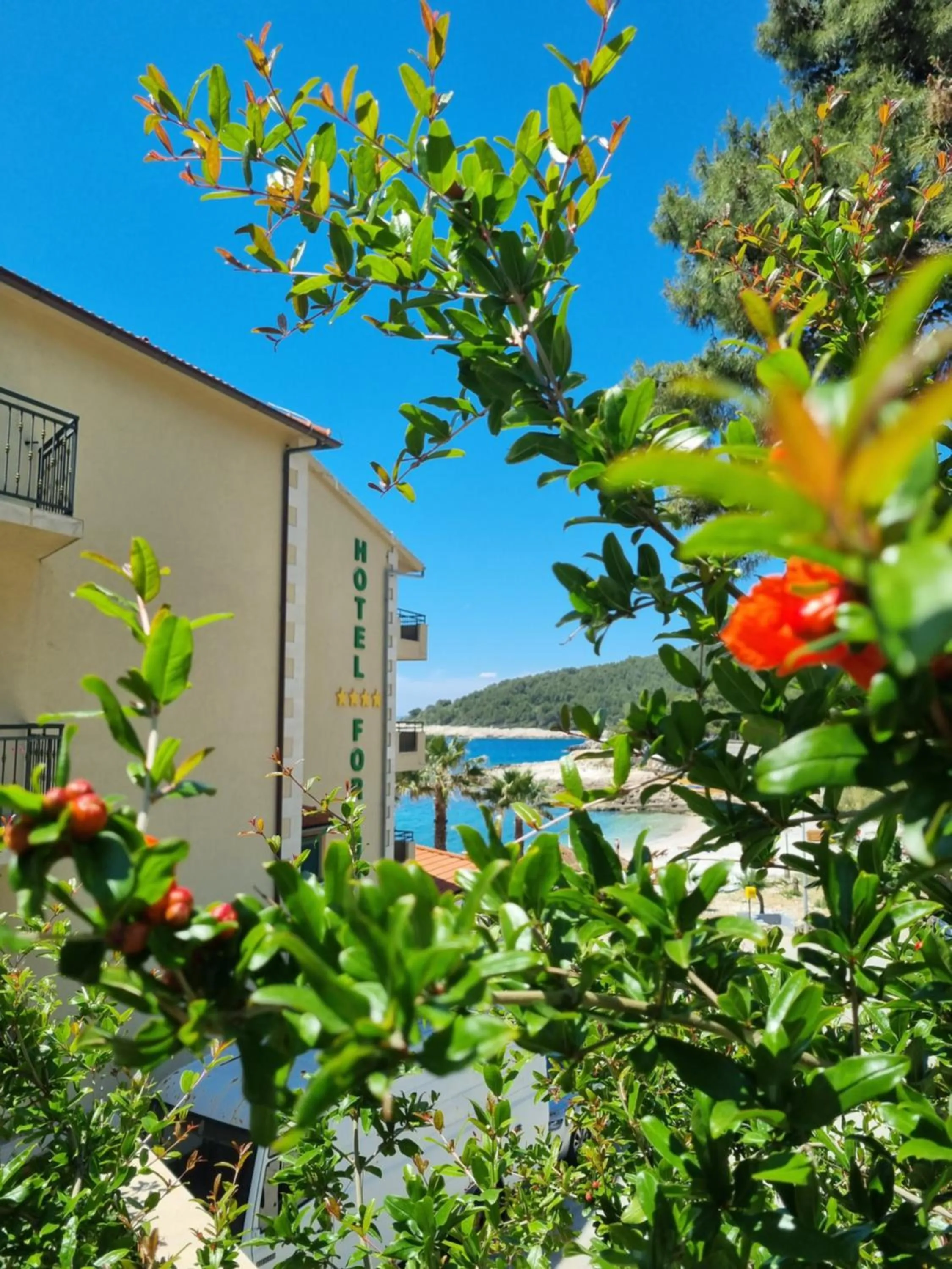 Property building in Hotel Fortuna