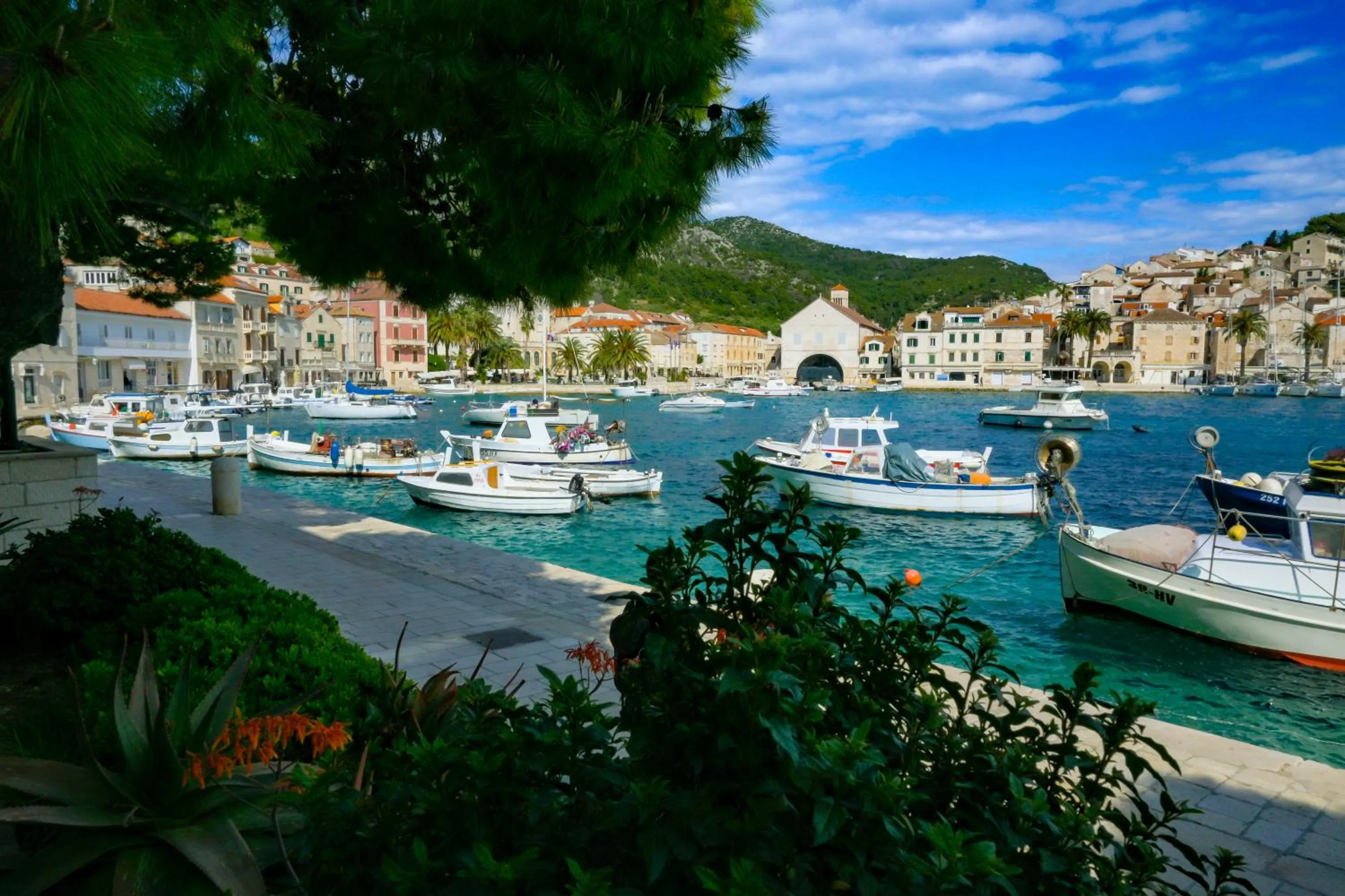 Neighbourhood in Hotel Fortuna