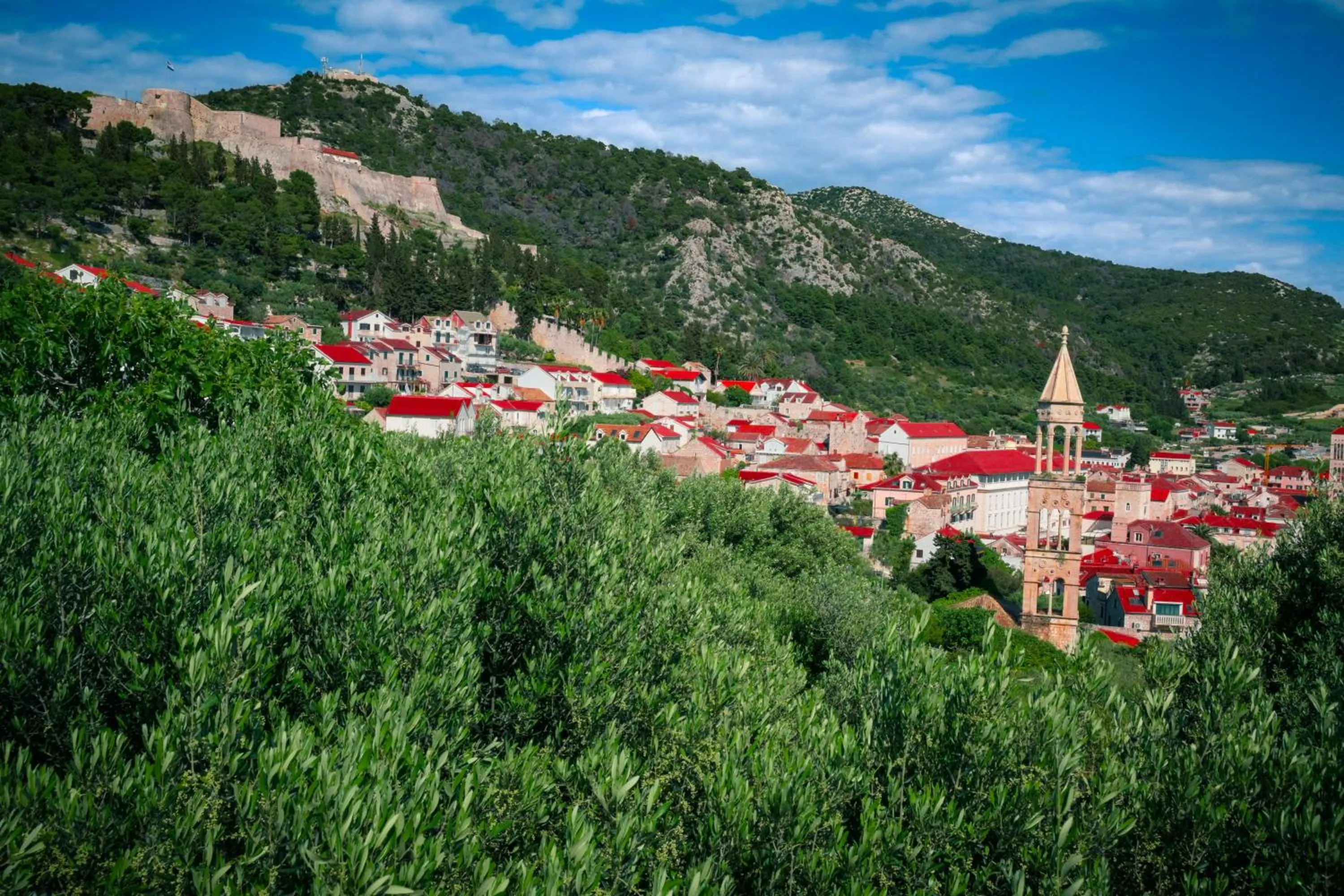 Neighbourhood in Hotel Fortuna