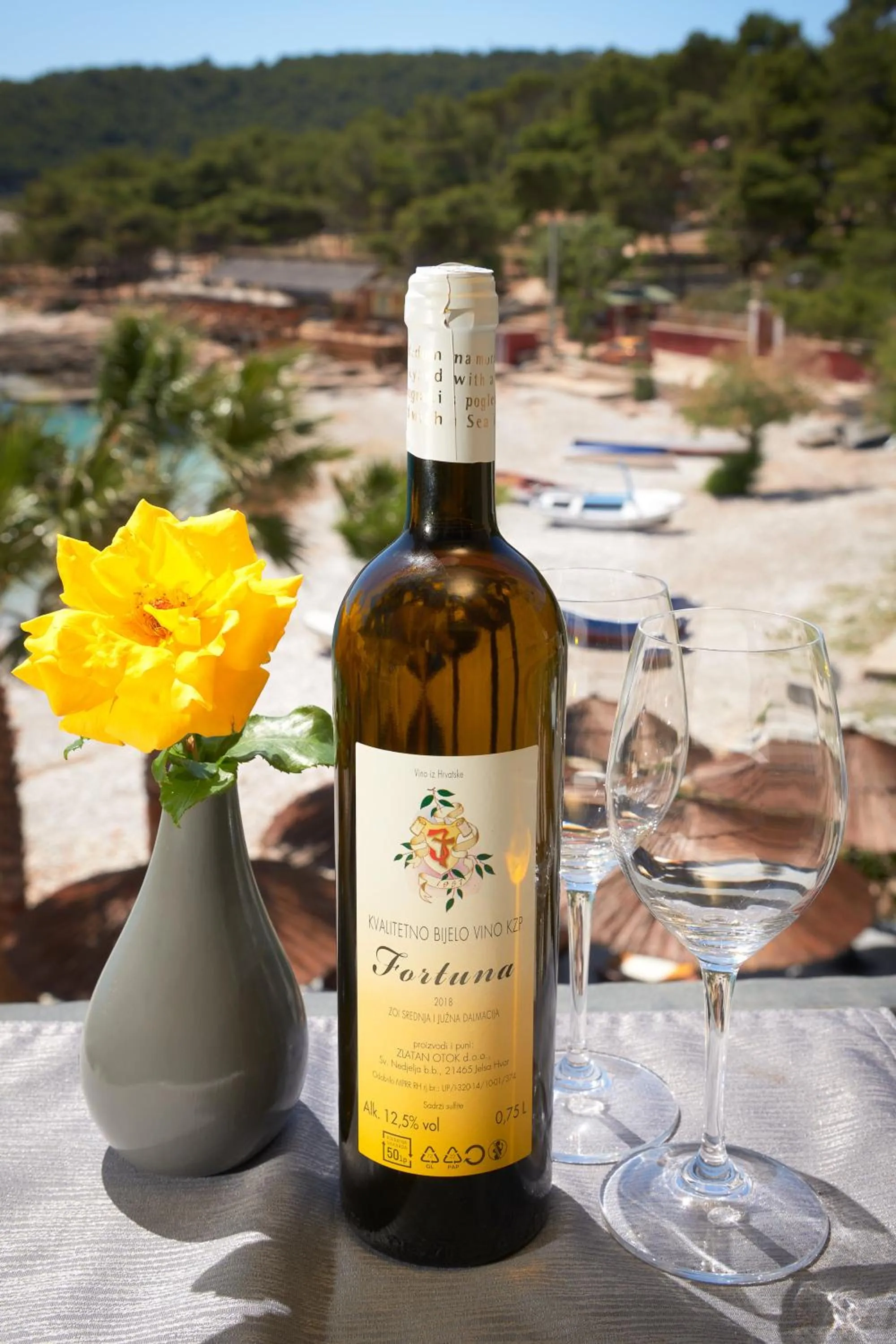 Balcony/Terrace in Hotel Fortuna