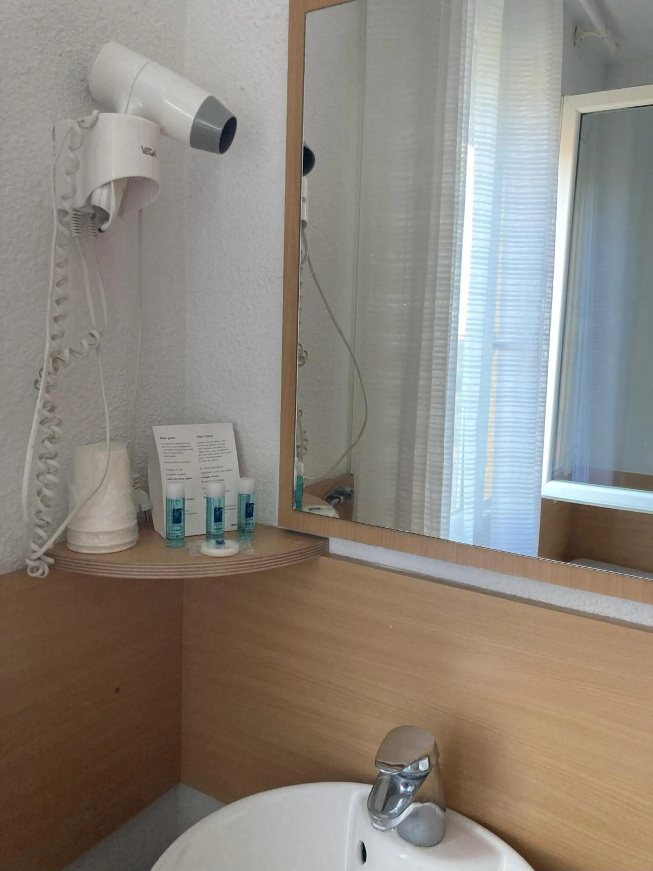 hair dryier in Hôtel Le Gambetta