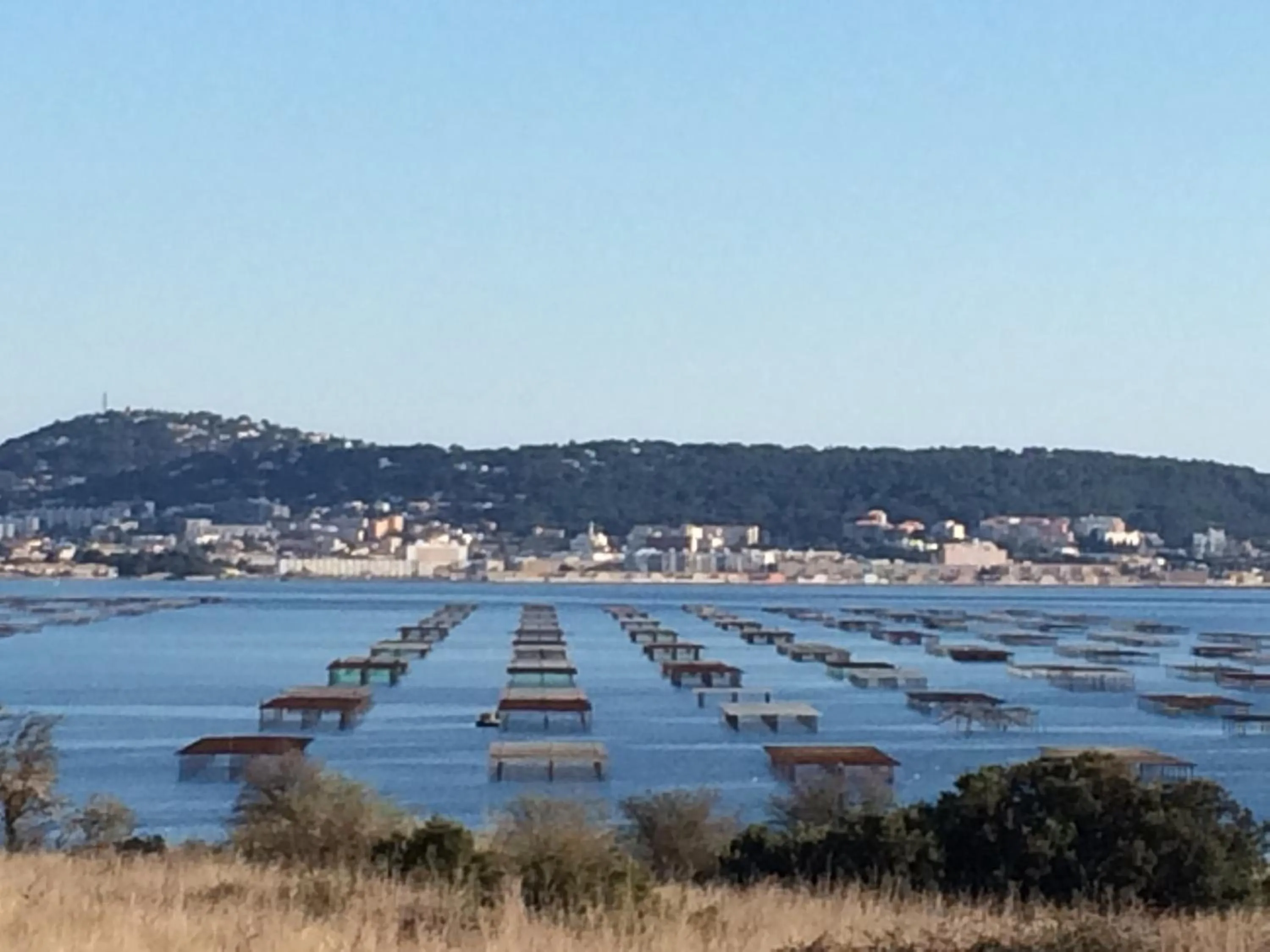 Area and facilities in Hôtel Le Gambetta