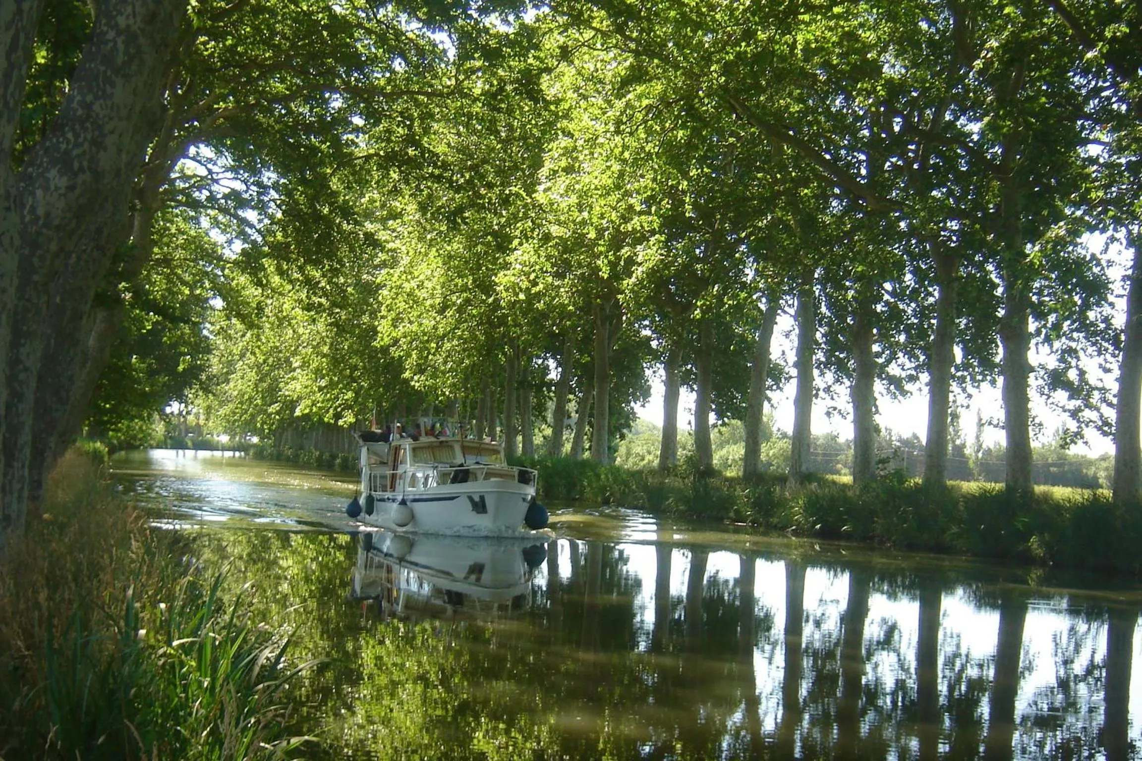 Cycling in Hôtel Le Gambetta