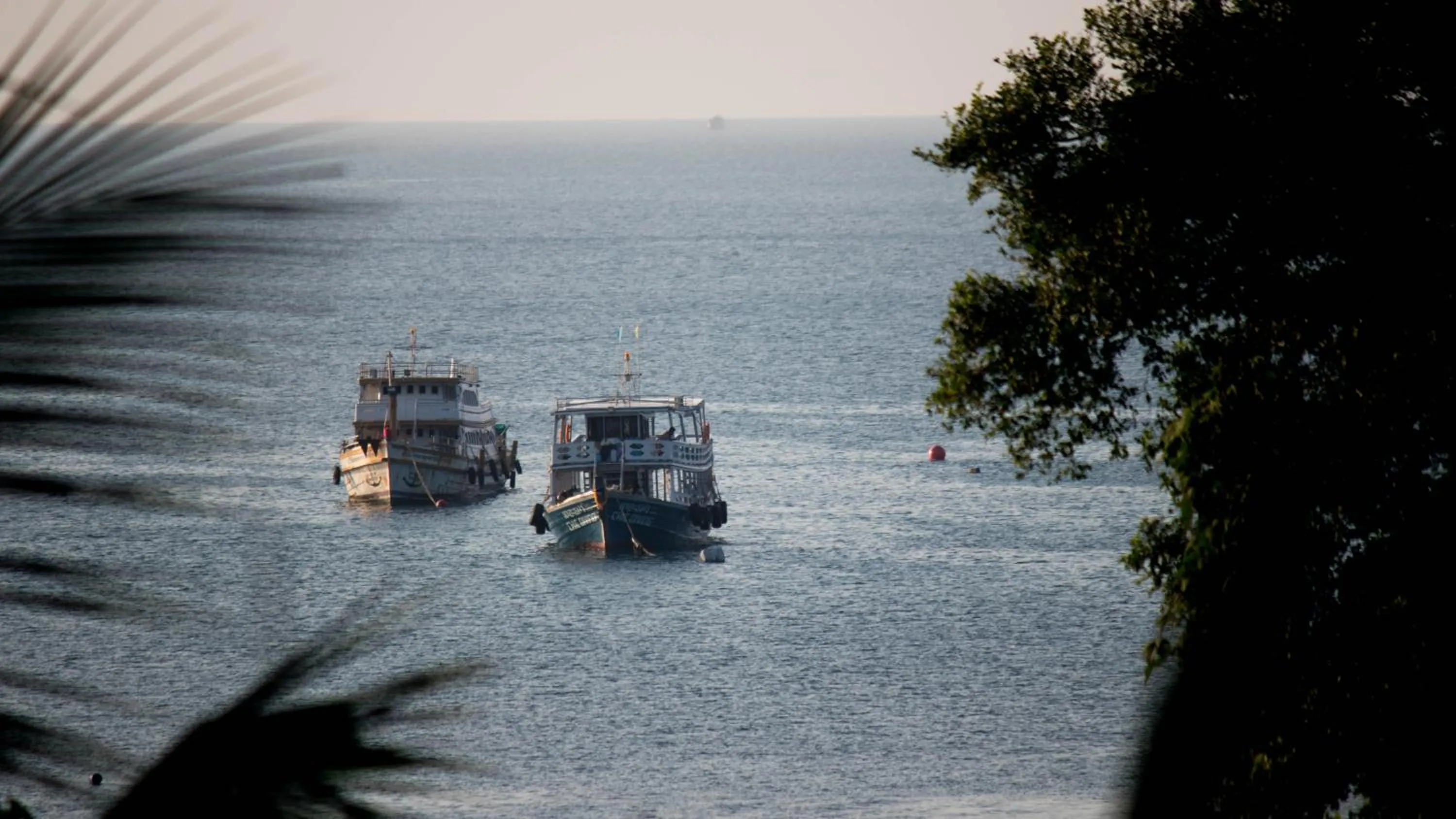 AVA Boutique Guesthouse