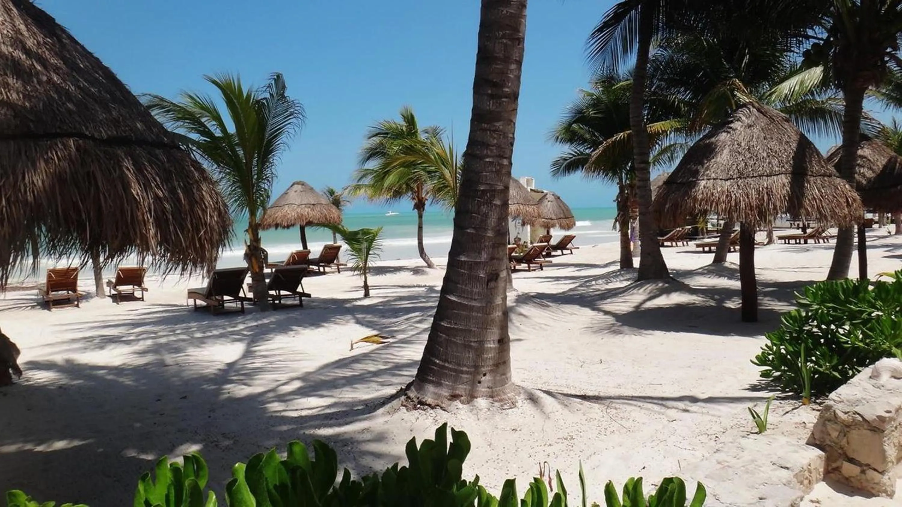 Day in Amaite Holbox - Oceanfront Hotel
