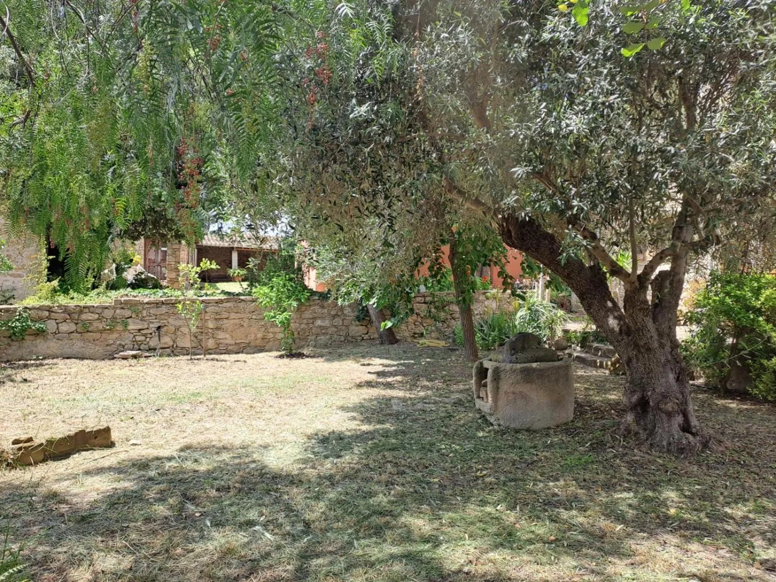Garden in Sa Domu de sa Contissa