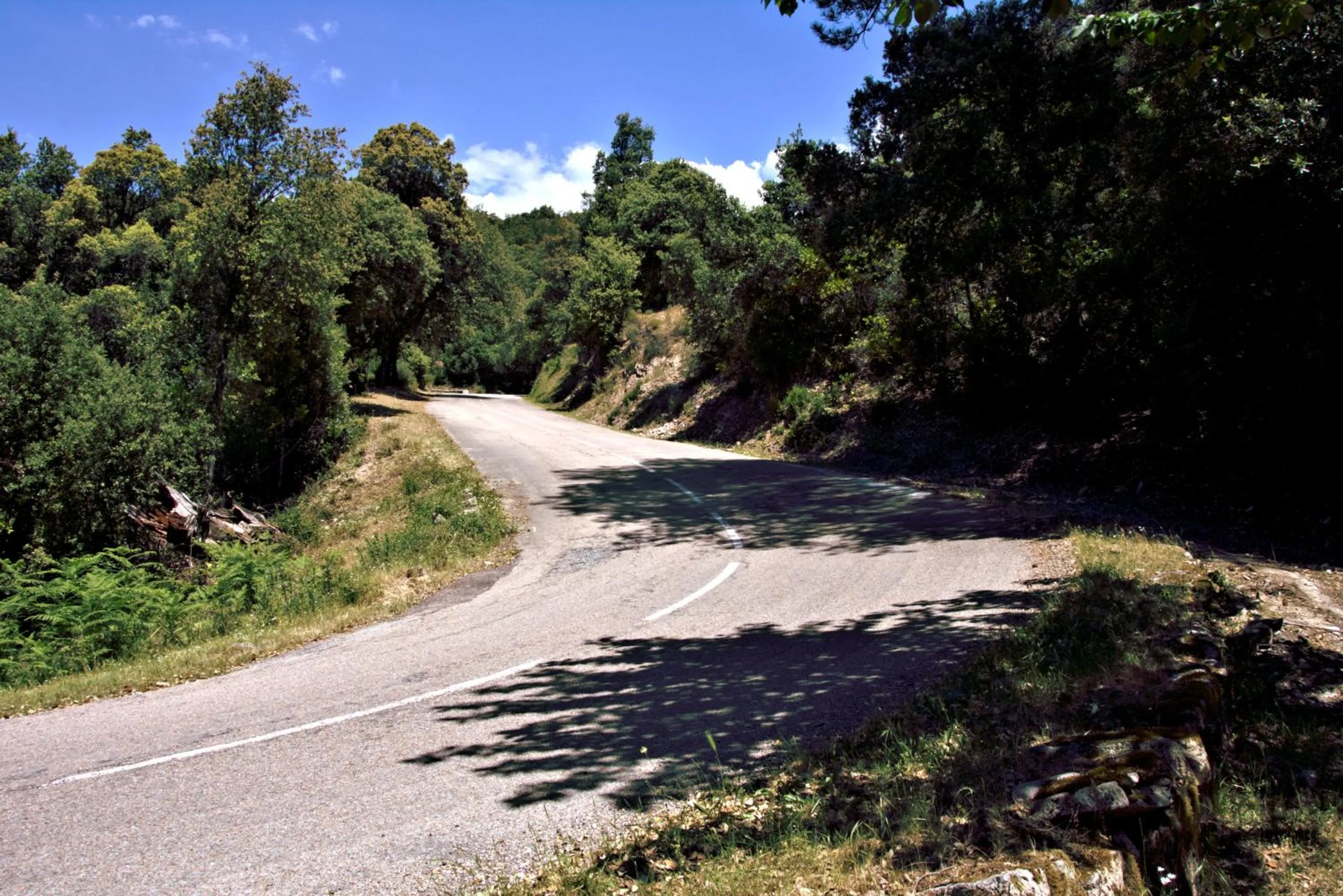 Activities in Auberge des Deux Sorru