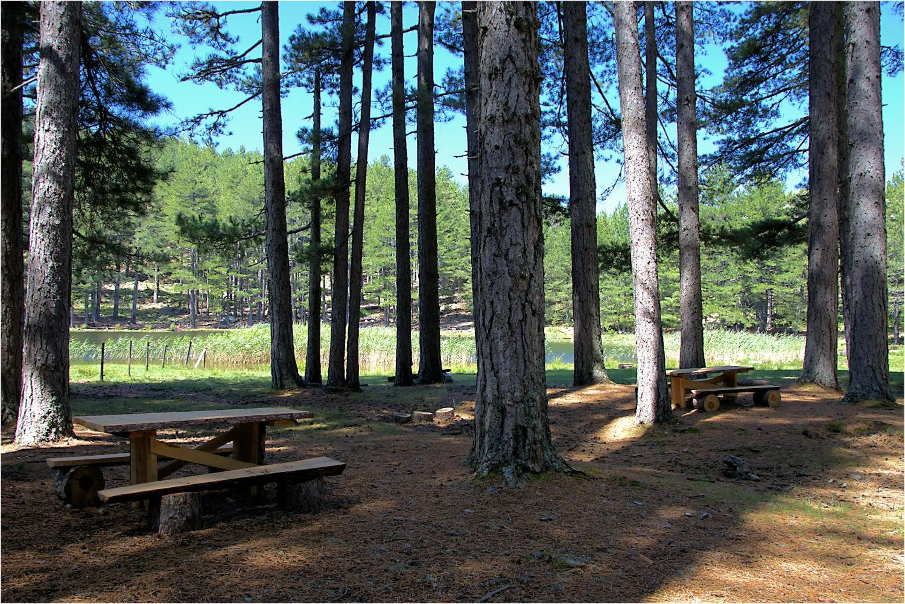 Natural landscape in Auberge des Deux Sorru