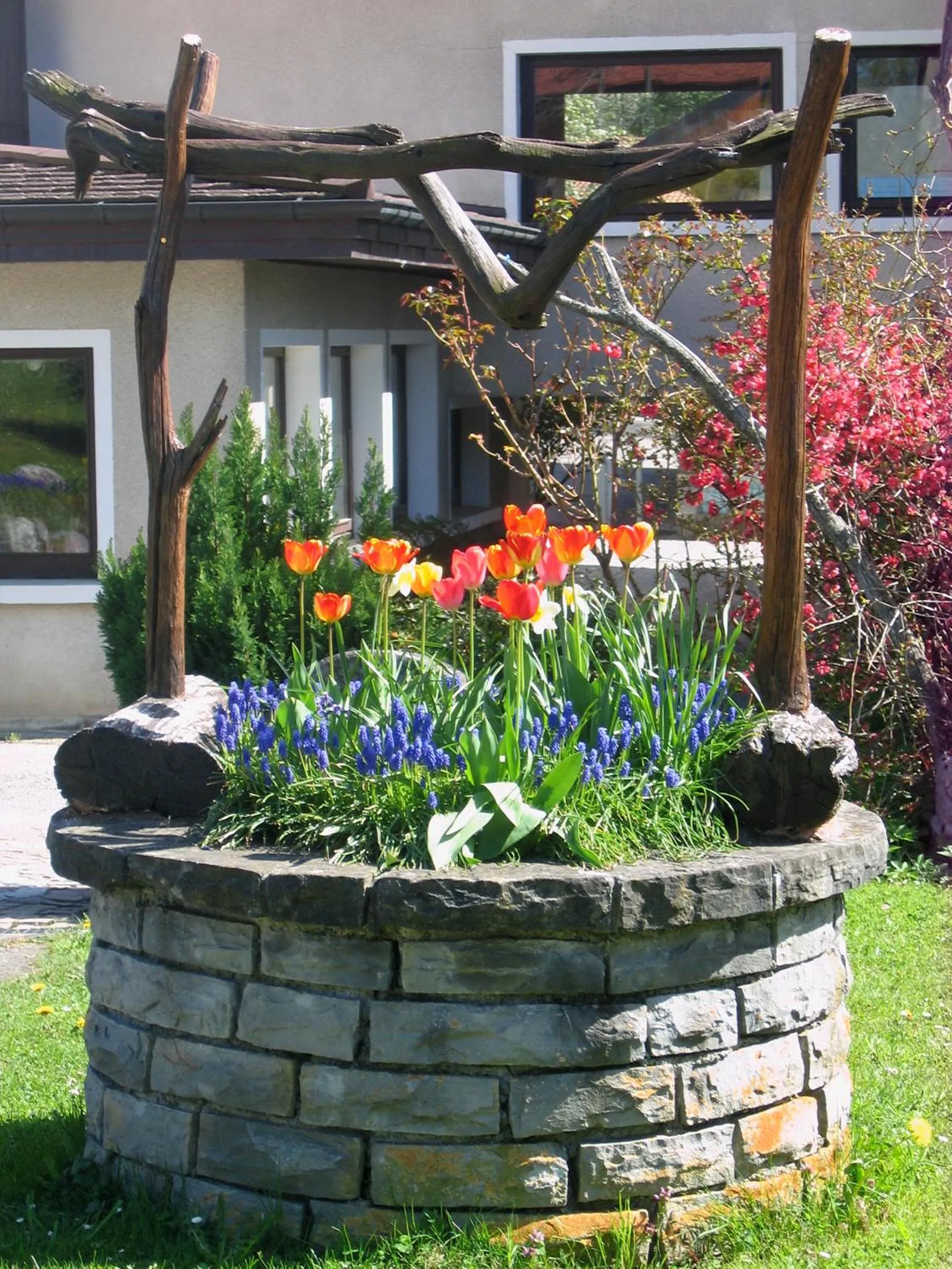 Natural landscape in Bon-Séjour