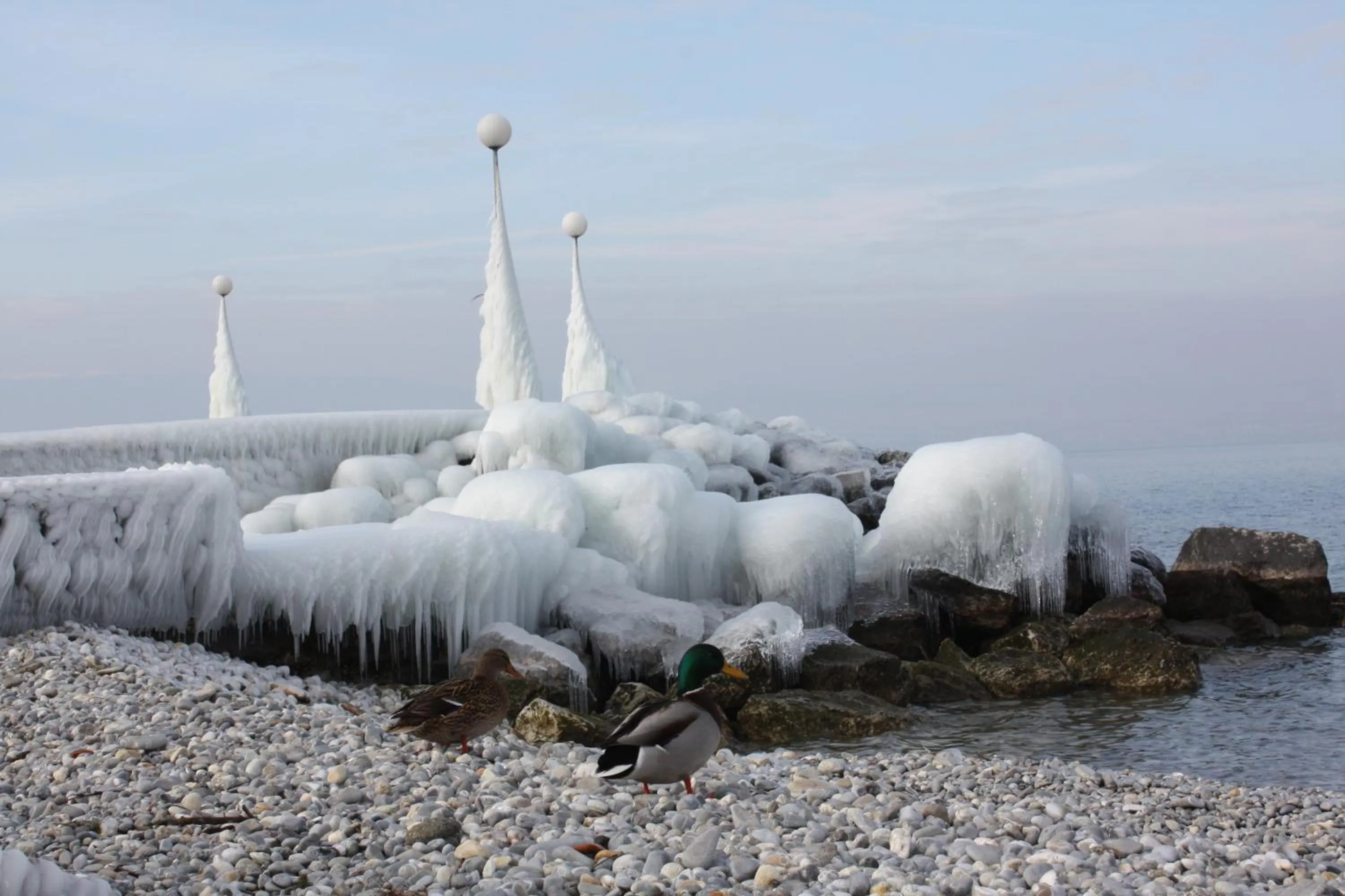 Fishing in Bon-Séjour
