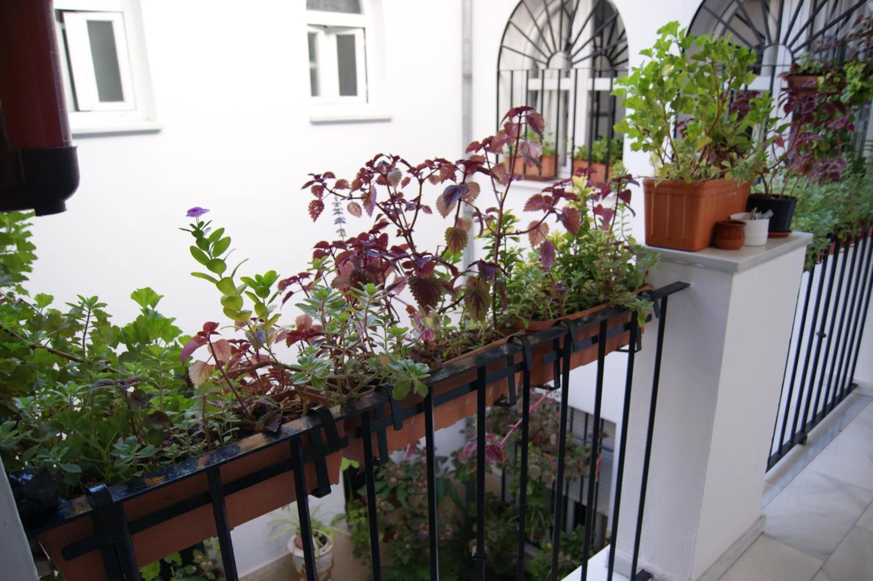 Balcony/Terrace in Hostal Alcazar I