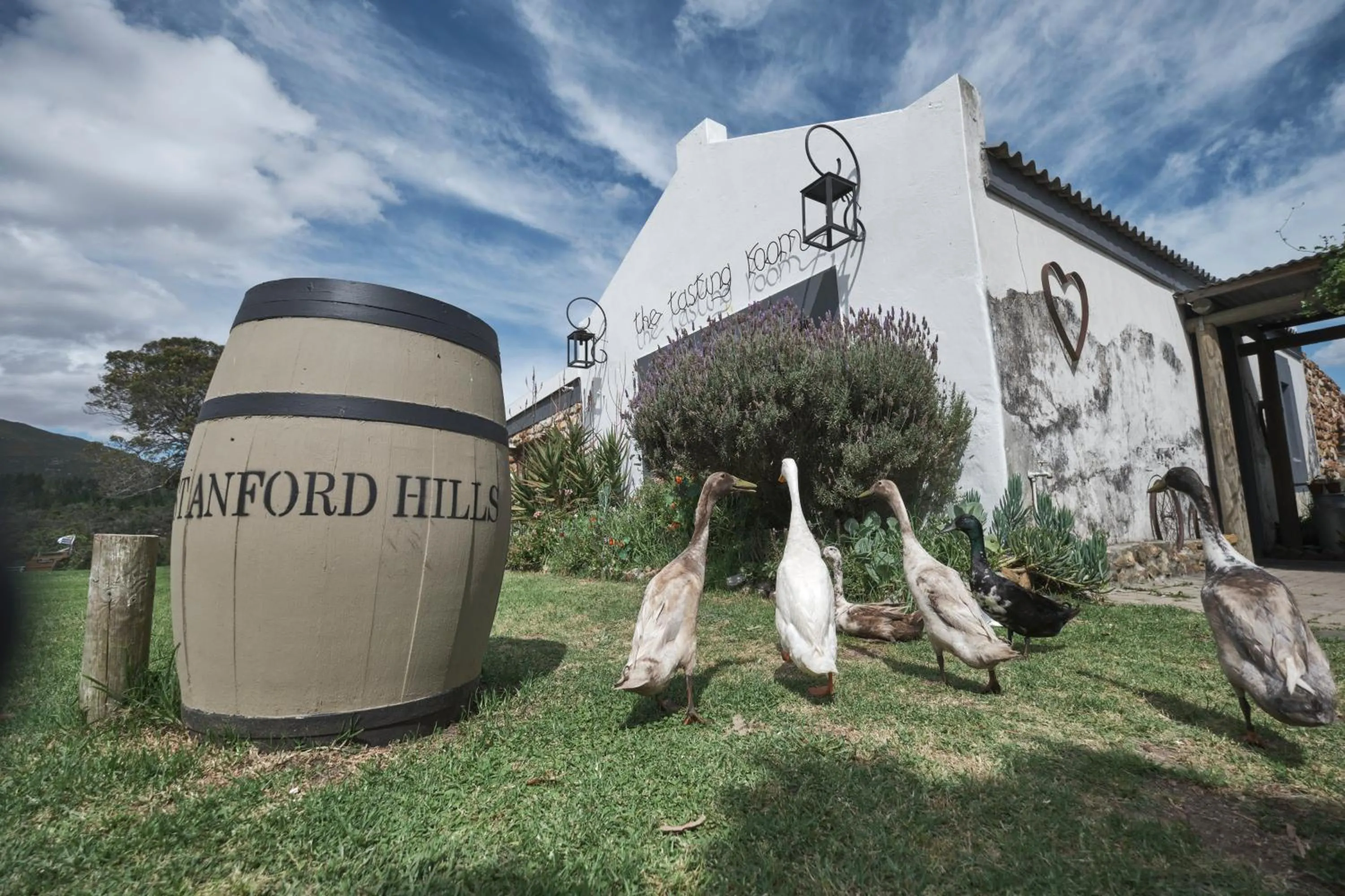 Restaurant/places to eat in AfriCamps at Stanford Hills