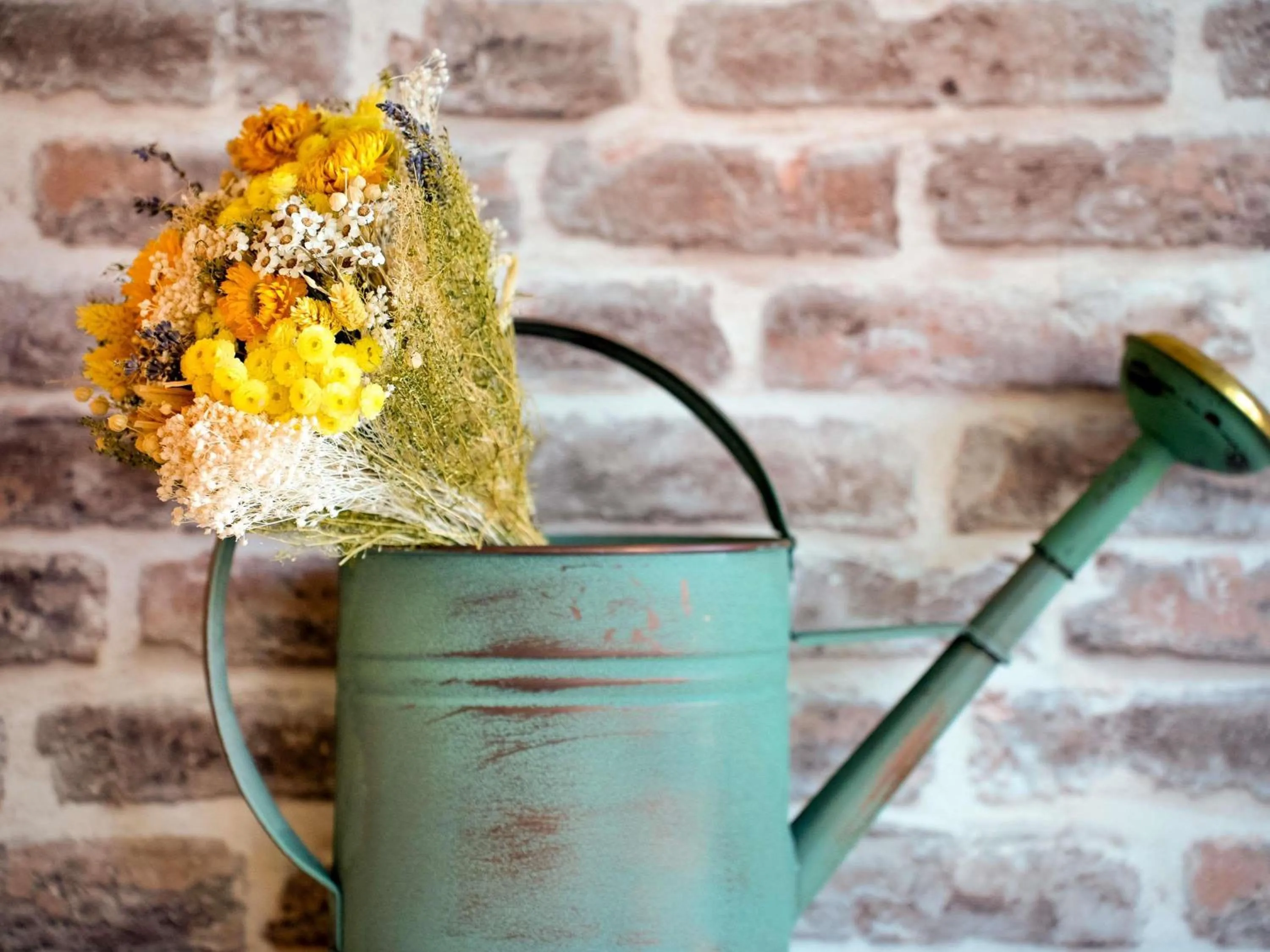 Property building in ibis Styles Chatenay Malabry Paris Sud