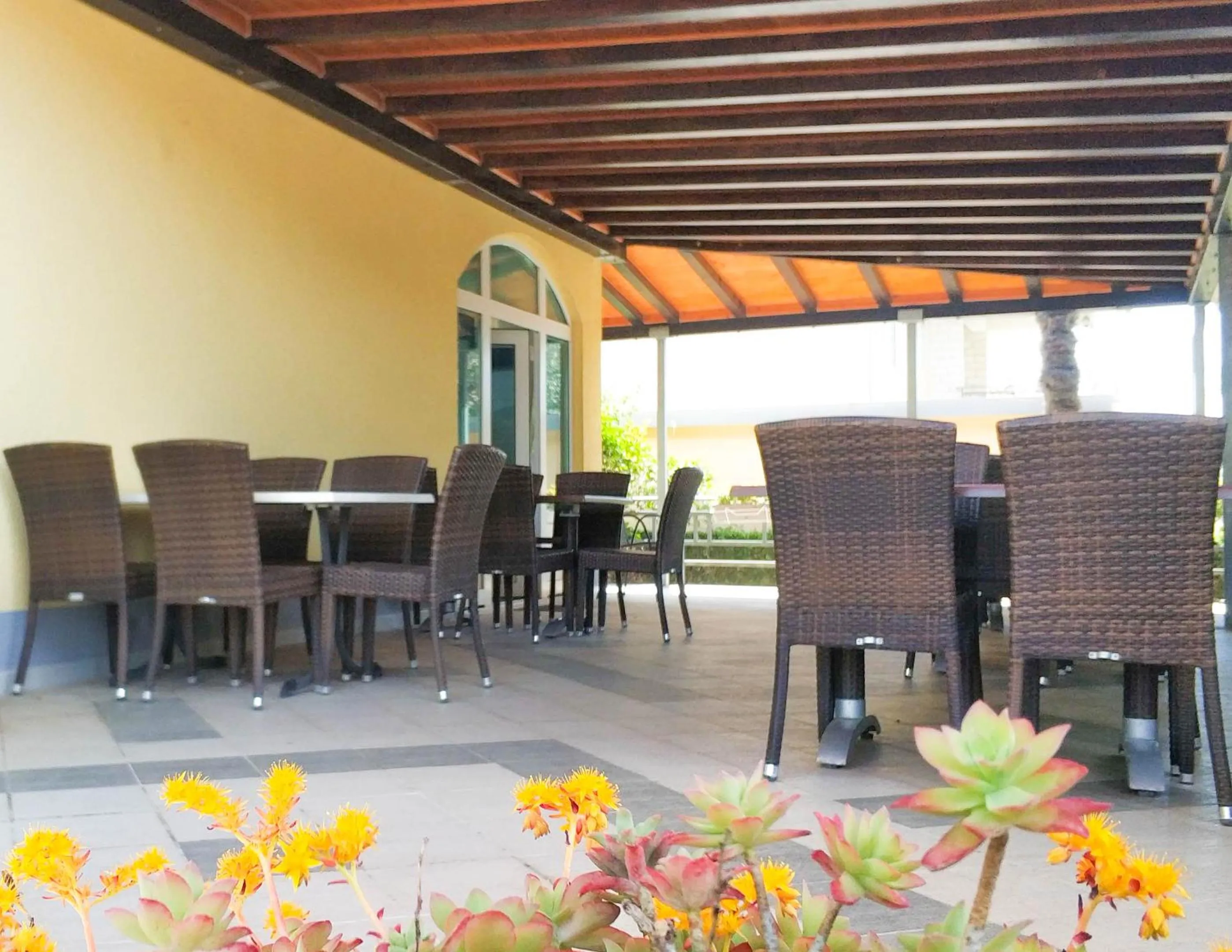 Restaurant/places to eat in Hotel Adria