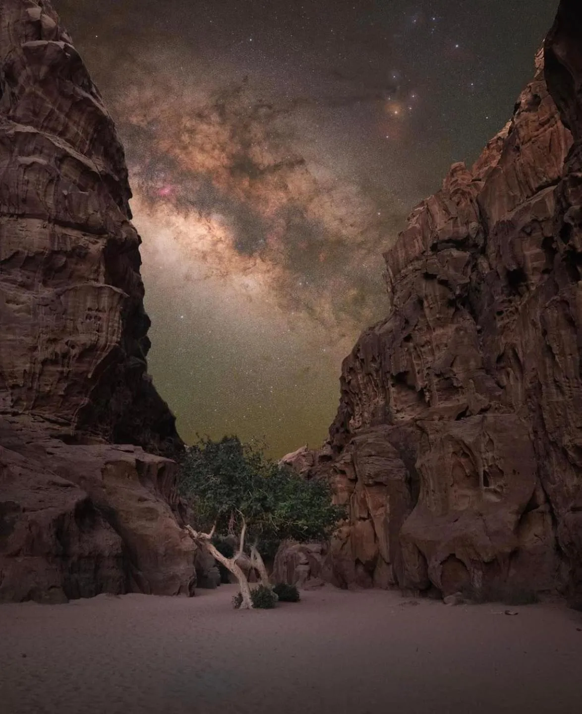 Natural landscape in Captains Desert Camp