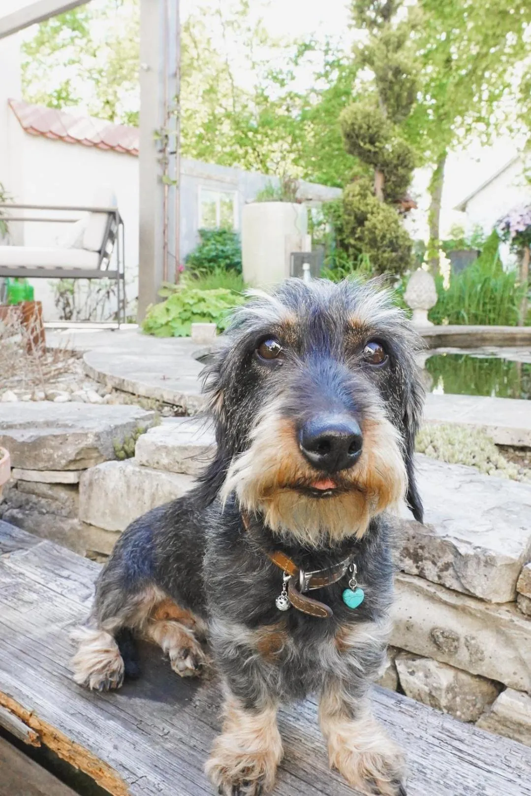 Other in Boutique-Apartments am Ledererturm