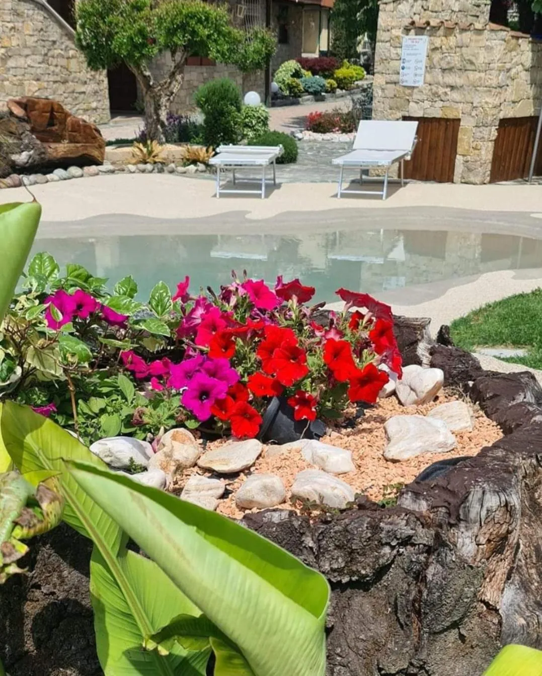 Swimming pool in B&B Le Palme