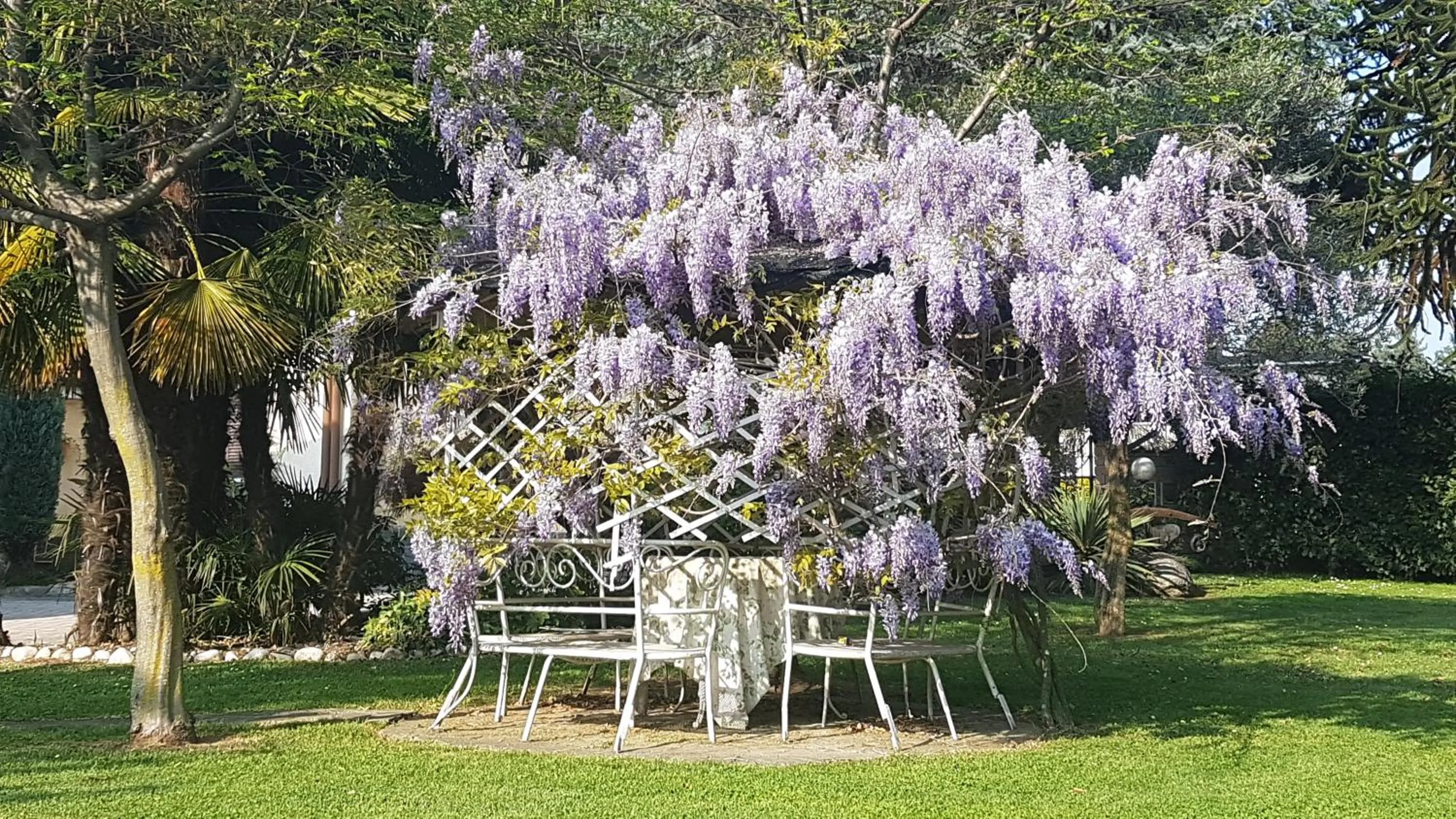 Garden in B&B Le Palme
