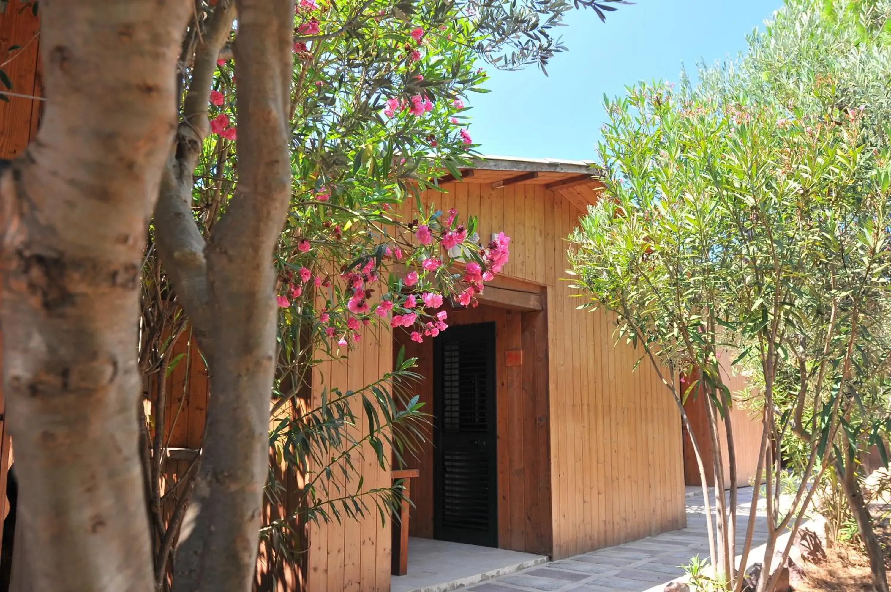 Chalet (2 people) in Villaggio Camping Torre Del Porticciolo Chalet (2 people) in Villaggio Camping Torre Del Porticciolo