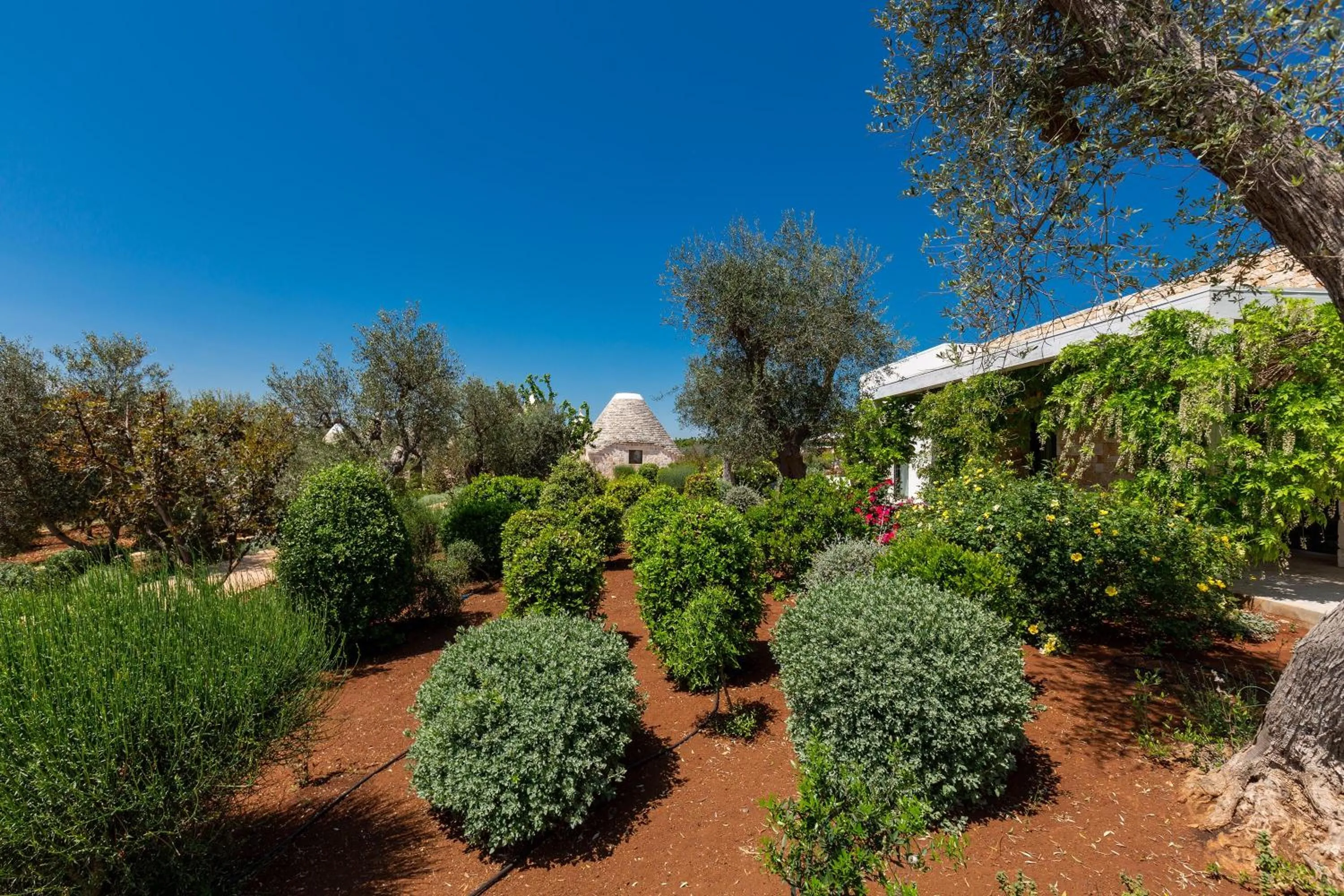 Garden in Le Ali Bianche by Perle di Puglia