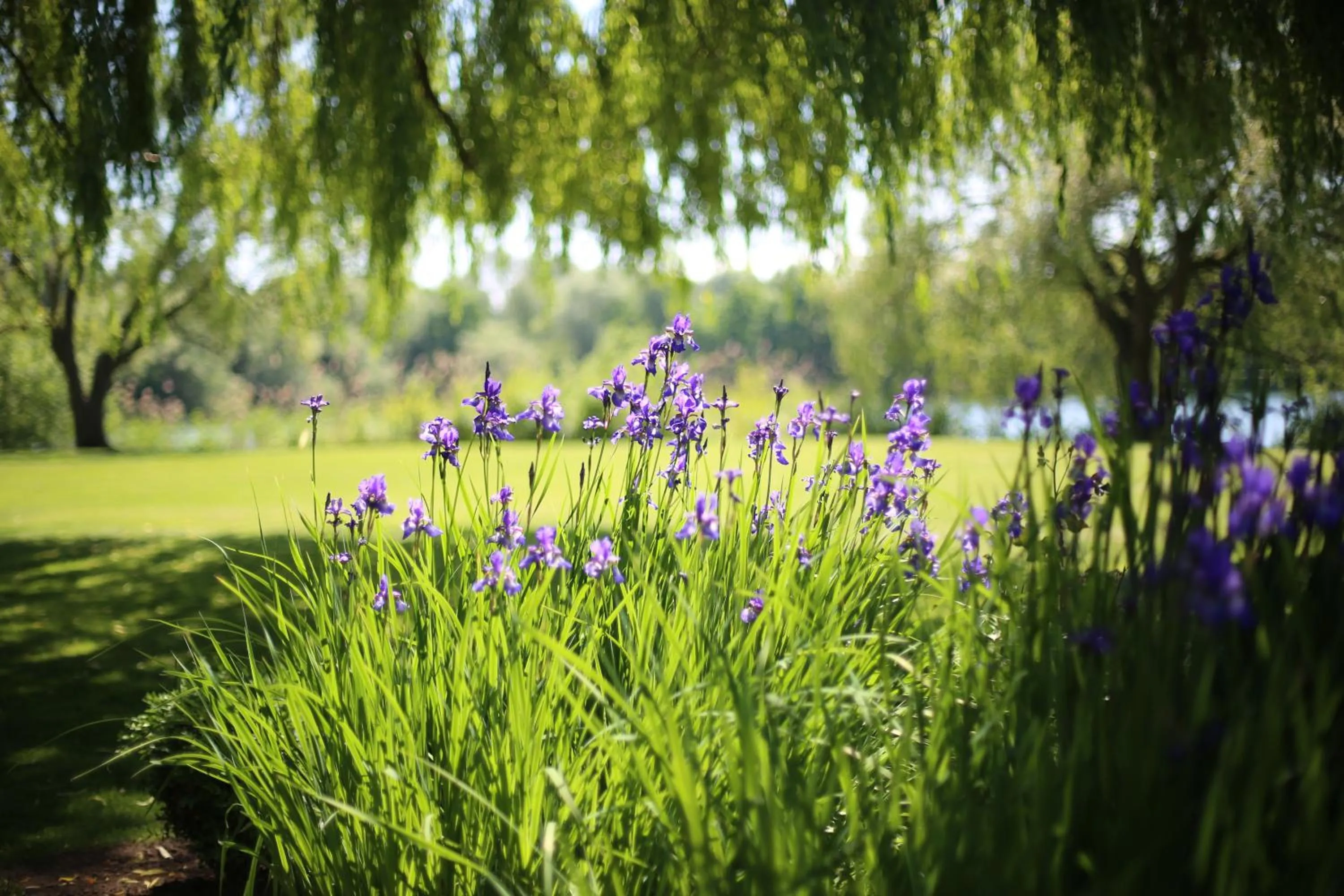 Garden in Landhaus am See