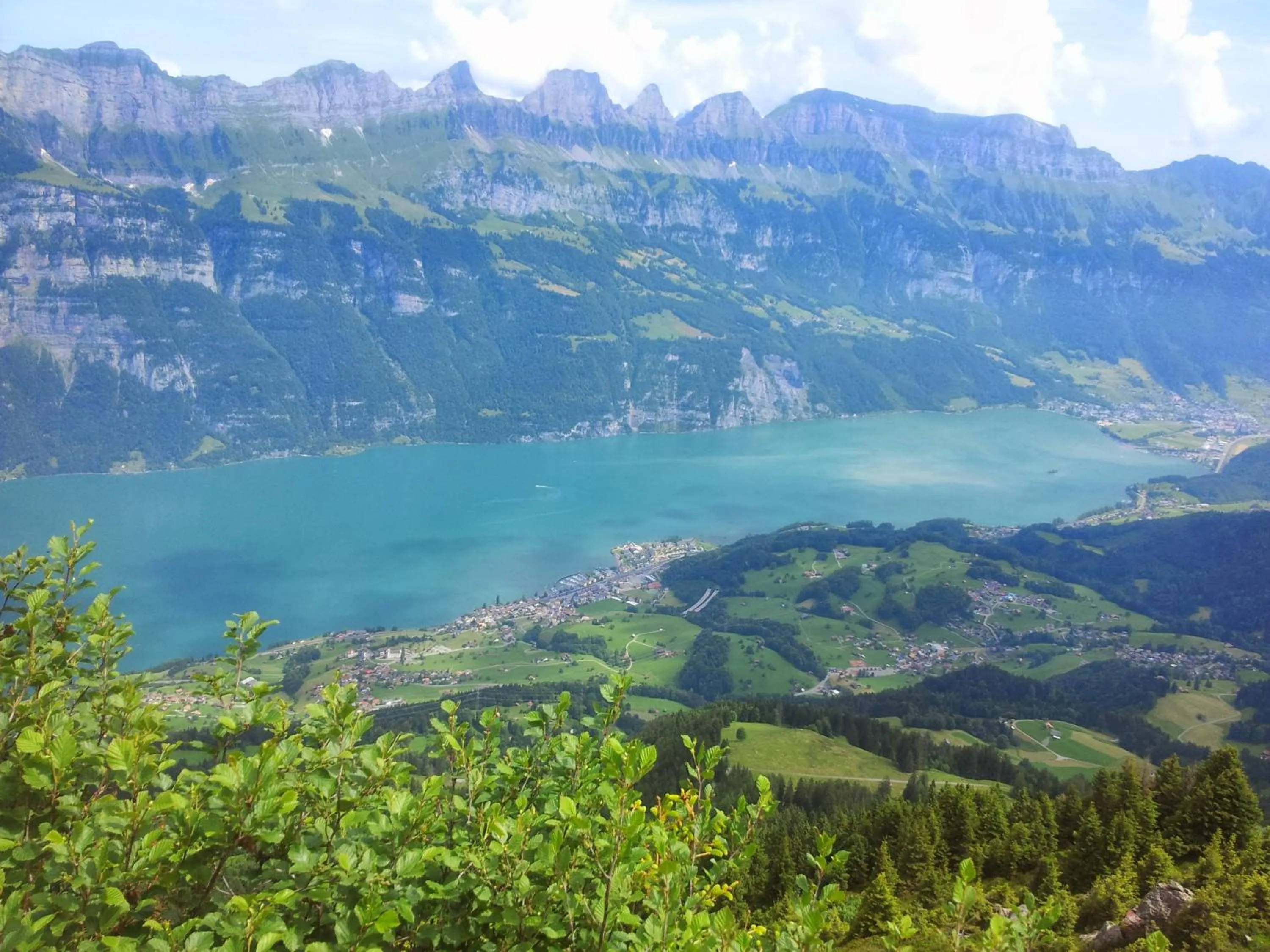 Natural landscape in Hotel Tannenboden