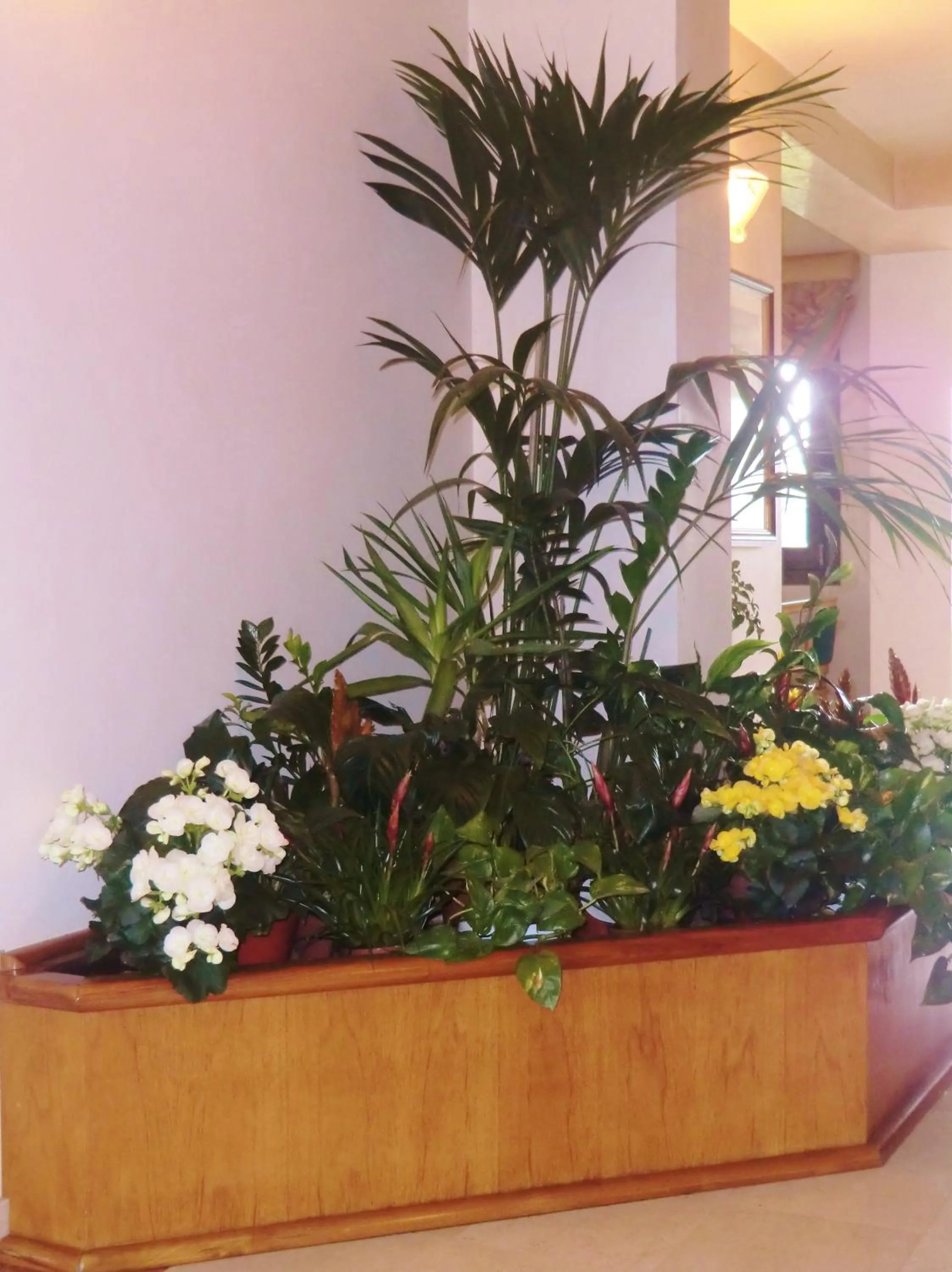 Lobby or reception in Hotel Luna