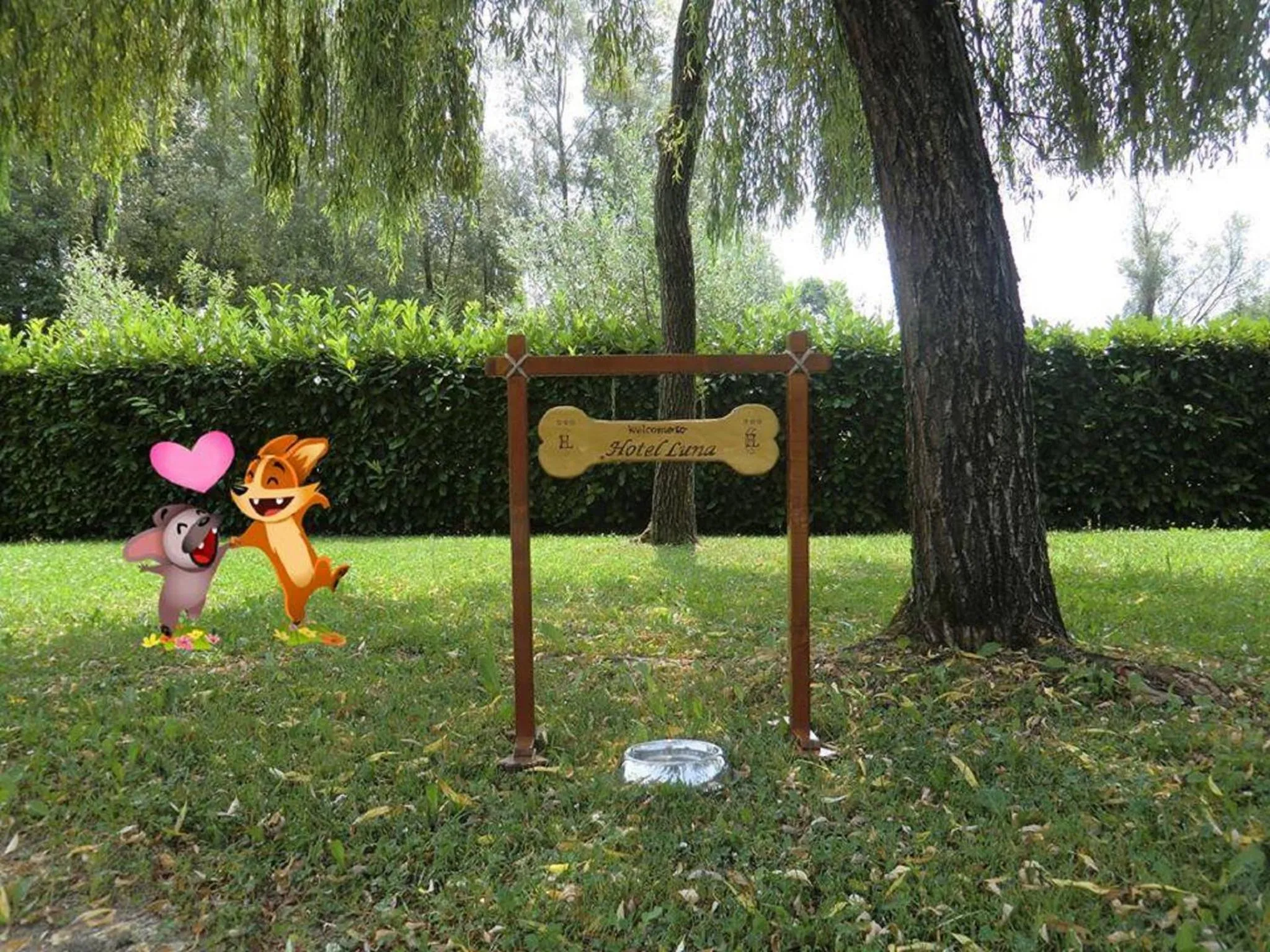 Garden in Hotel Luna