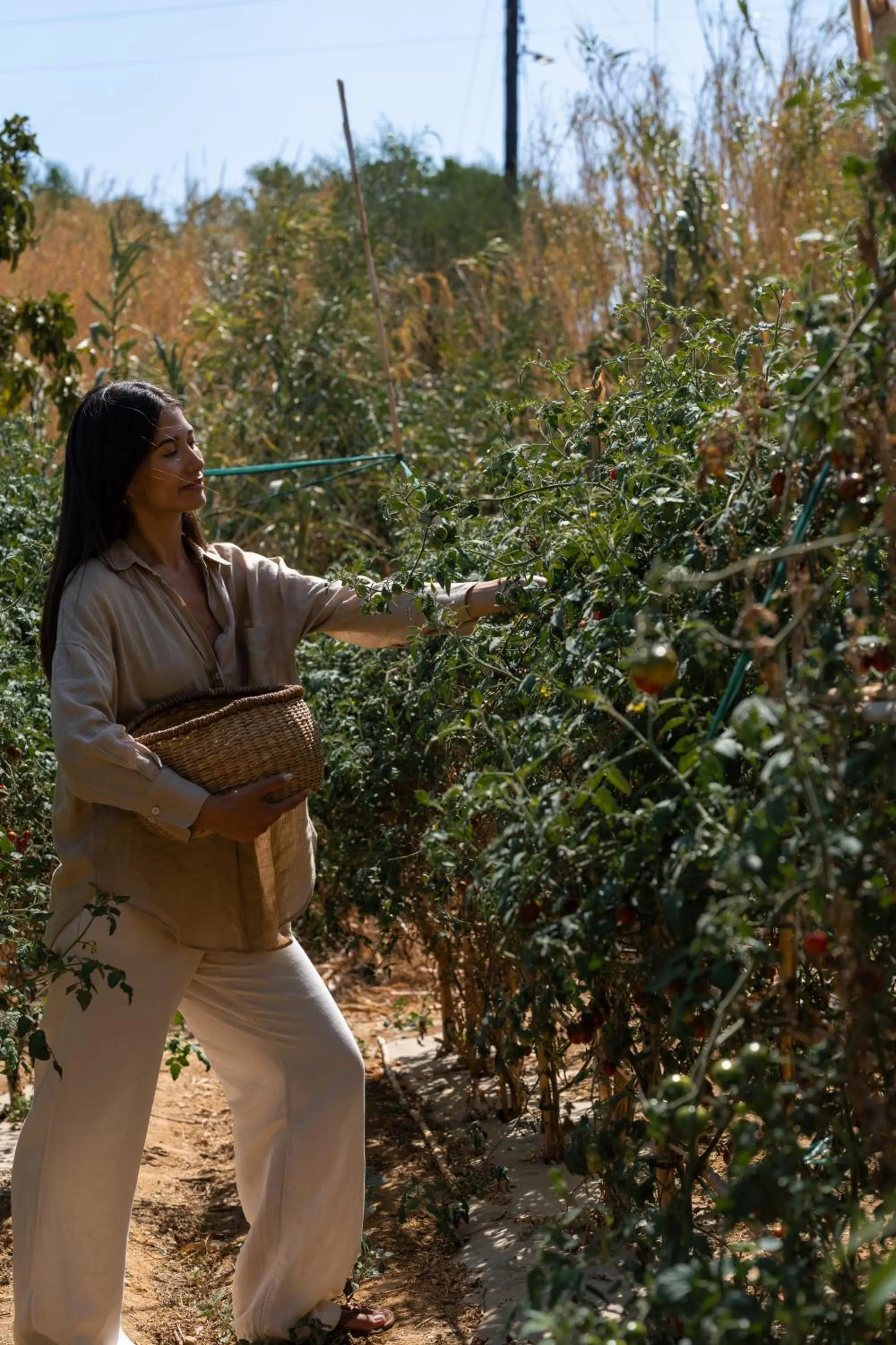 Property building in Irida Mindful Living