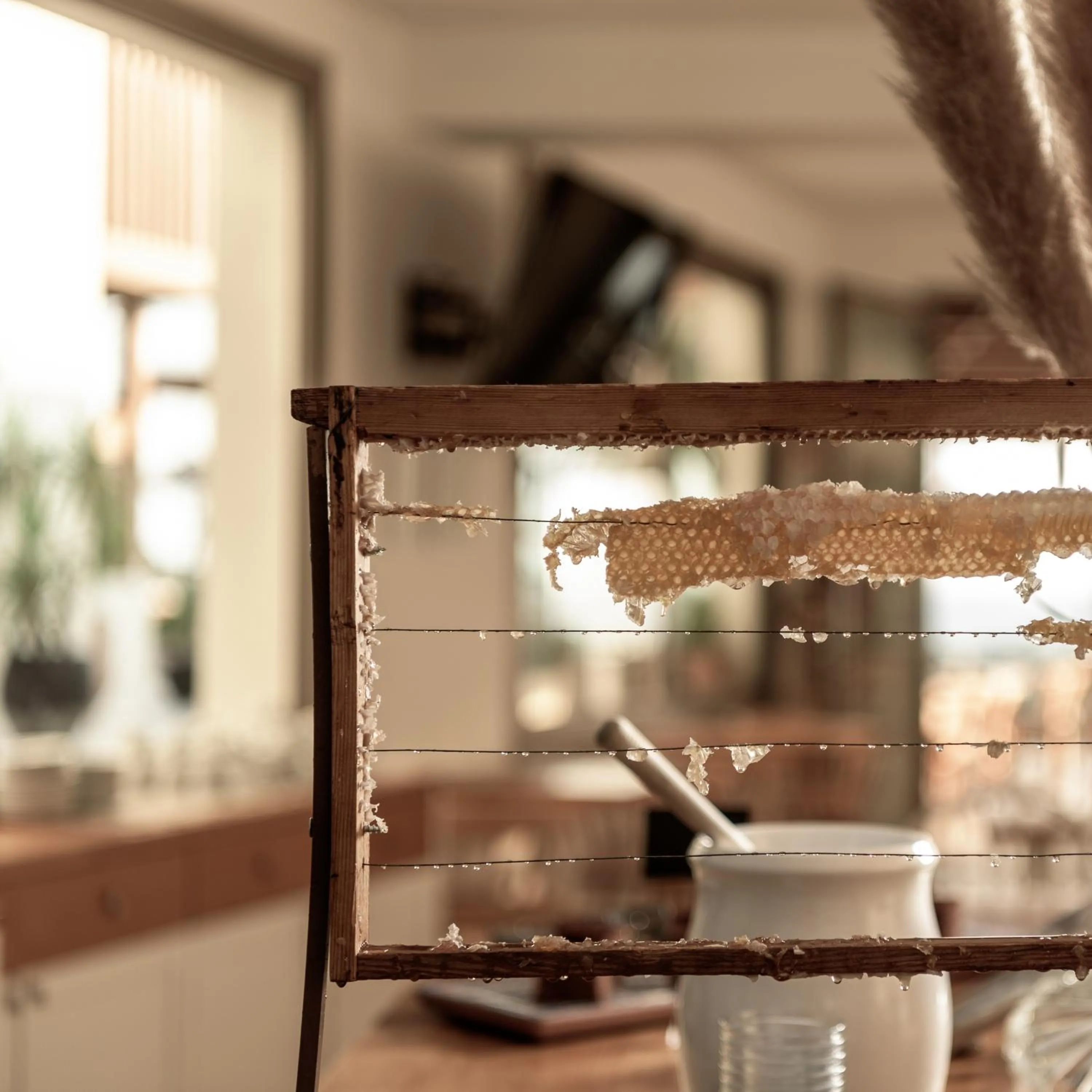 Breakfast in Irida Mindful Living