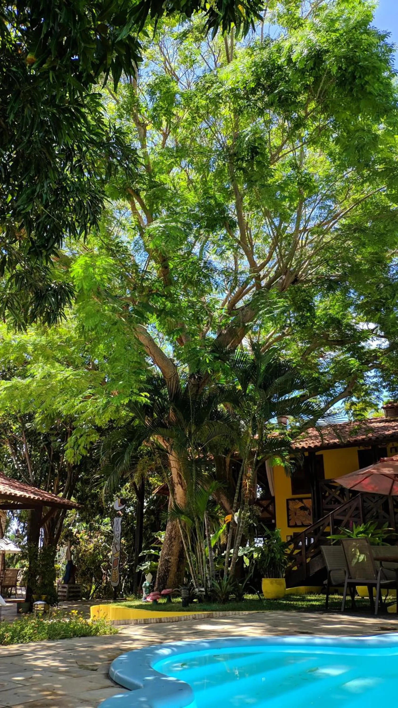 Swimming pool in ThalassaGarden Hotel - Pousada