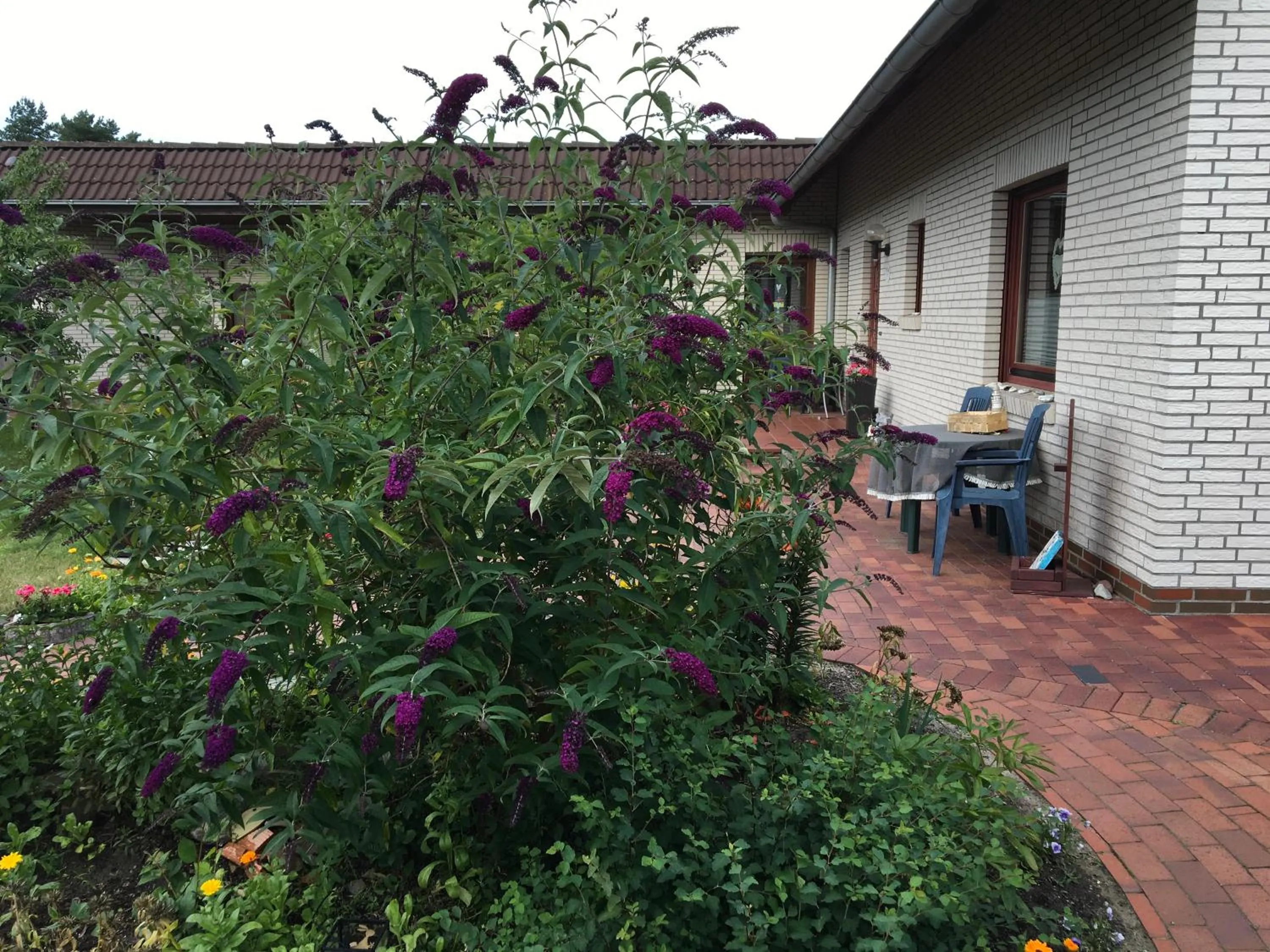 Pension Fischerhaus