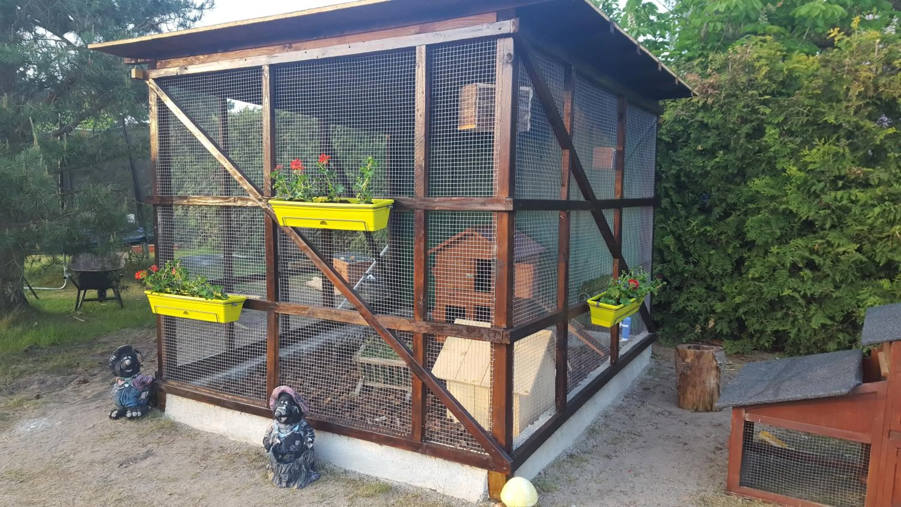 Pets in Pension Fischerhaus