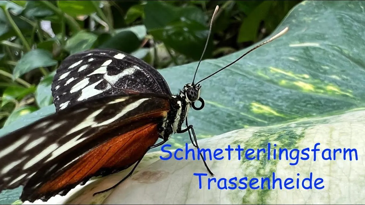 Pension Fischerhaus
