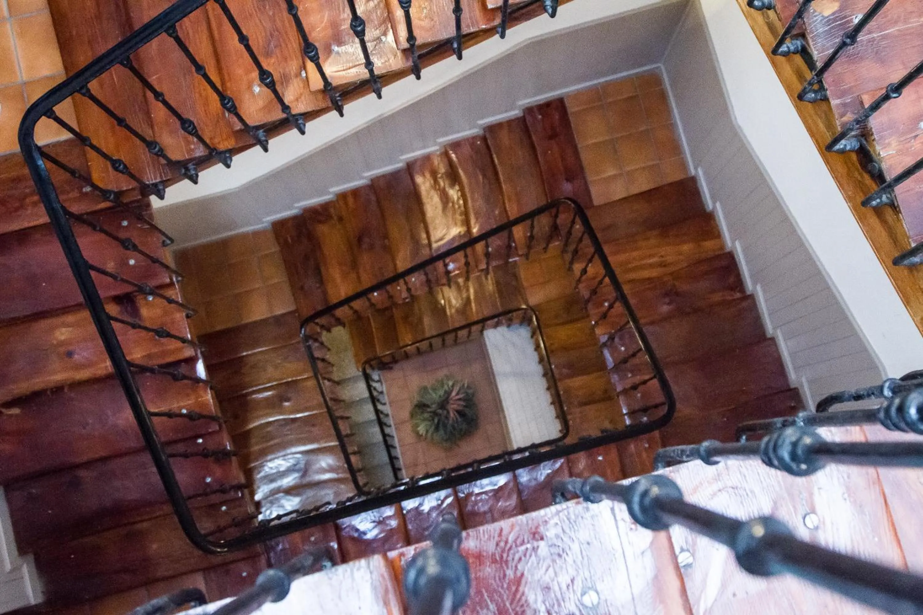 Lobby or reception in CH Olmedo