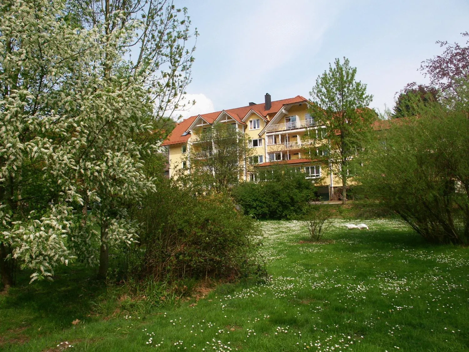 Garden in Hotel zum Engel