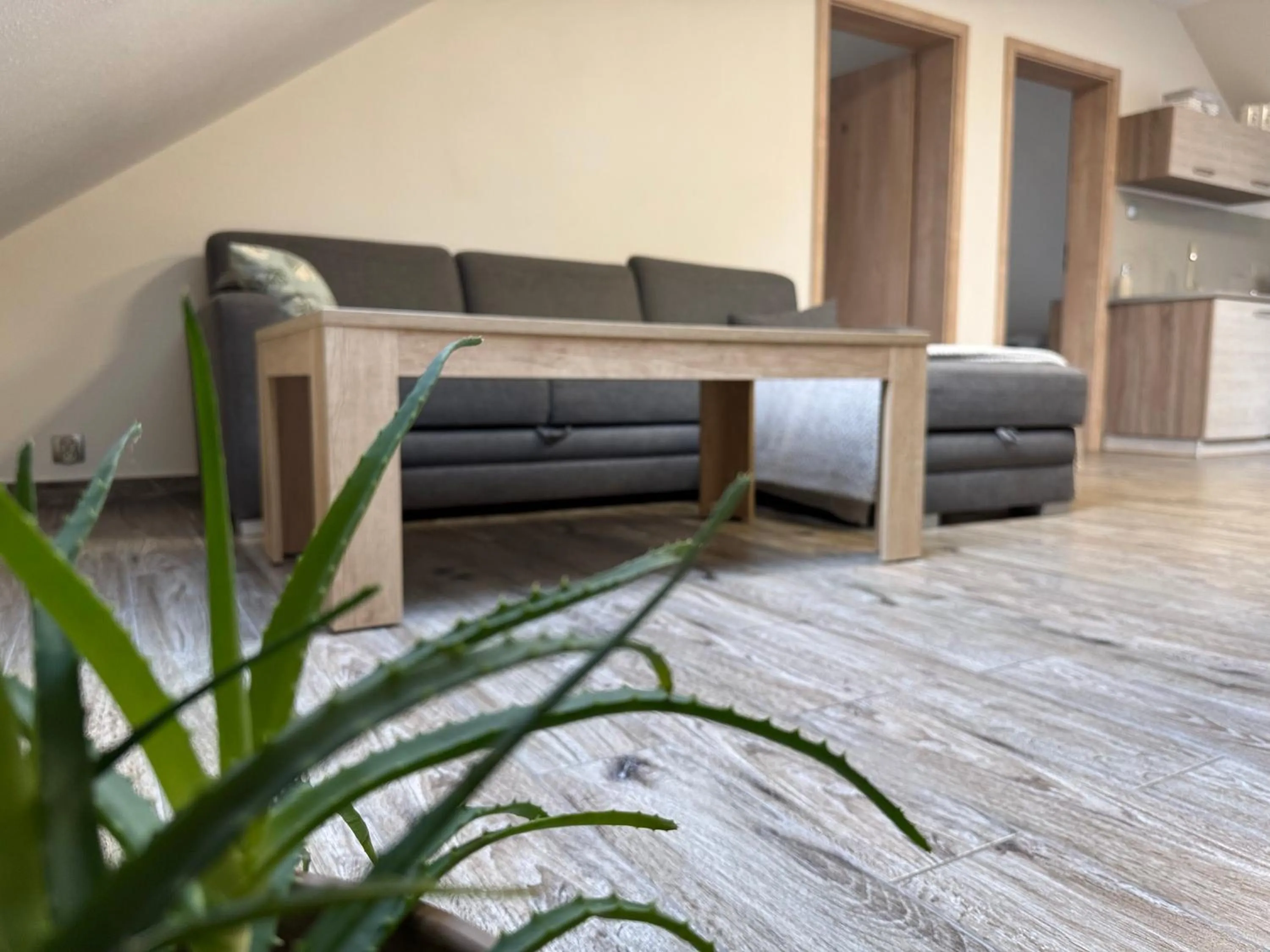 Dom Wakacyjny ODSAPKA